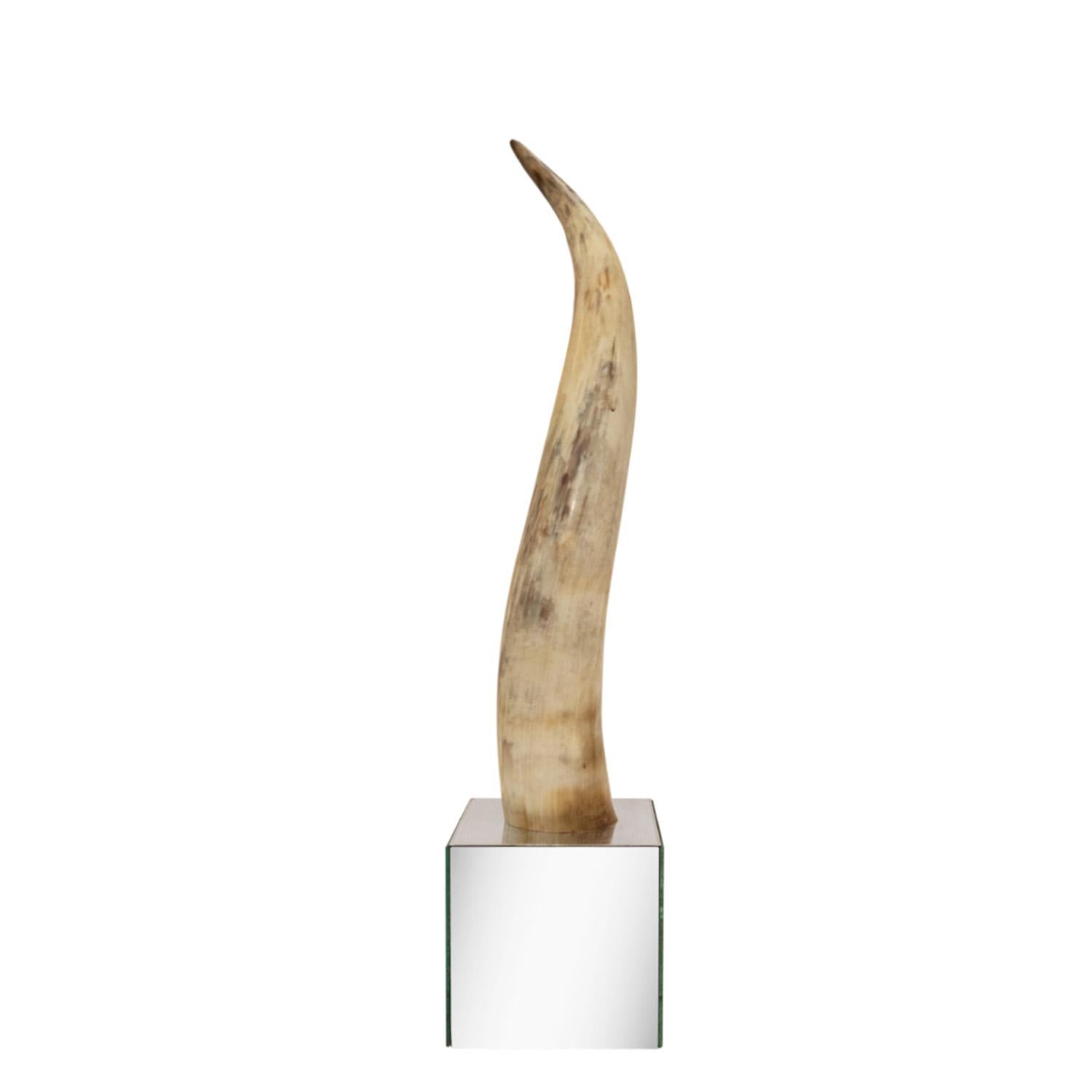 Mid-Century Modern Large Majestic Horn Mounted On A Mirrored Cube Base 1970's For Sale