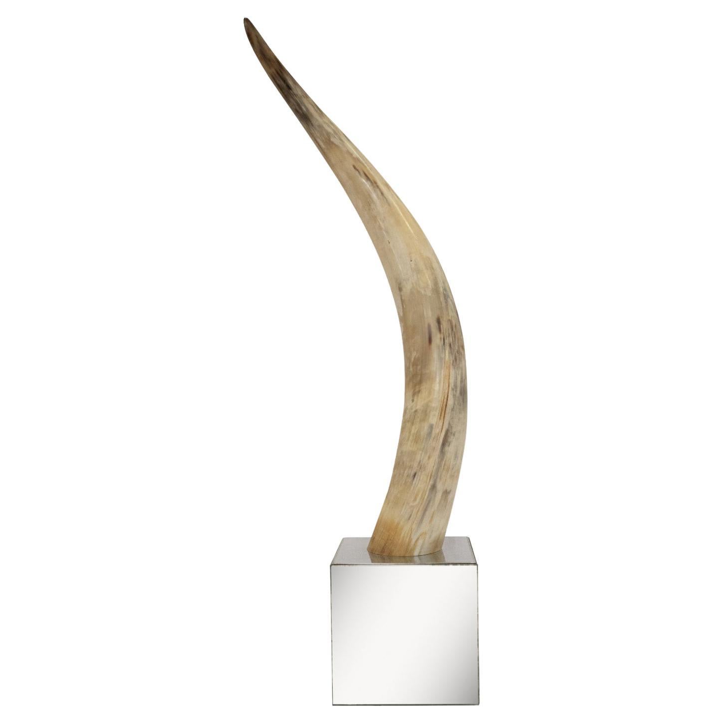 Large Majestic Horn Mounted On A Mirrored Cube Base 1970's