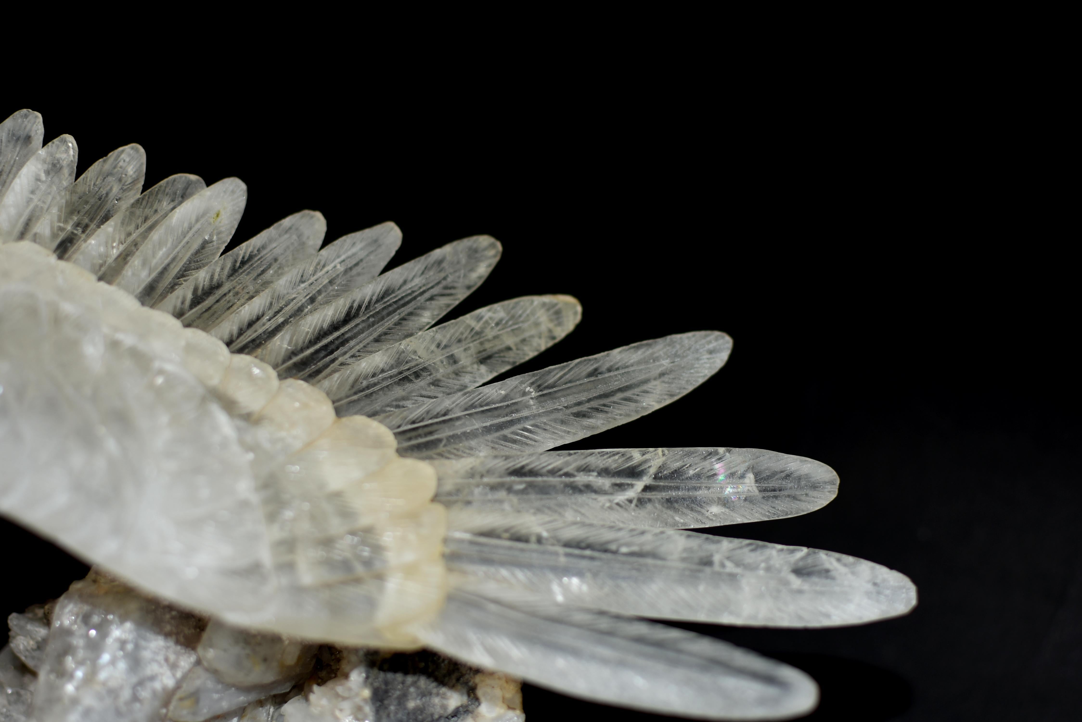 Großer majestätischer Bergkristall Quarz Adler 19