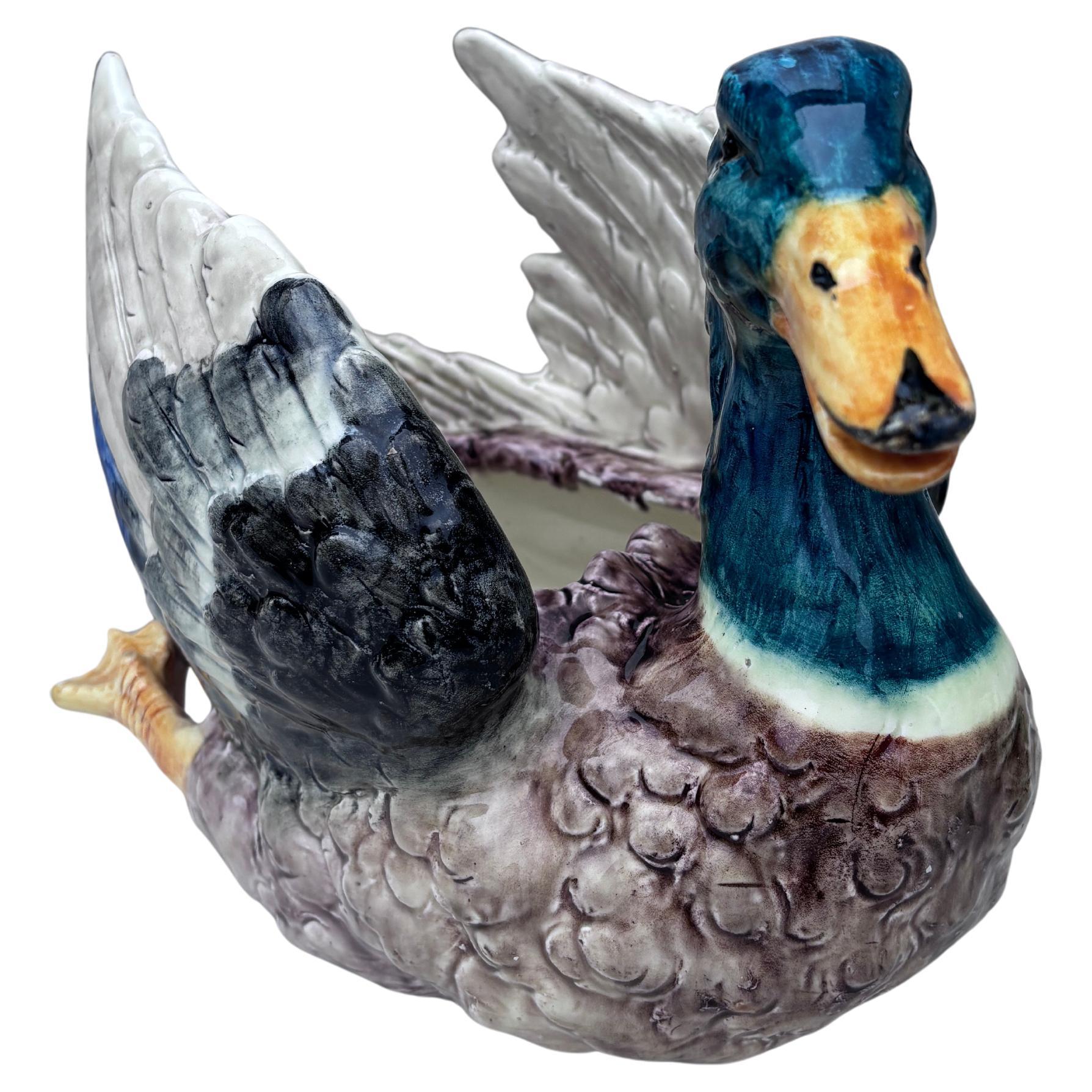 Rustico Grande Jardiniere di anatra in maiolica Delphin Massier, 1890 circa in vendita