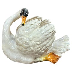 Planters and Jardinieres