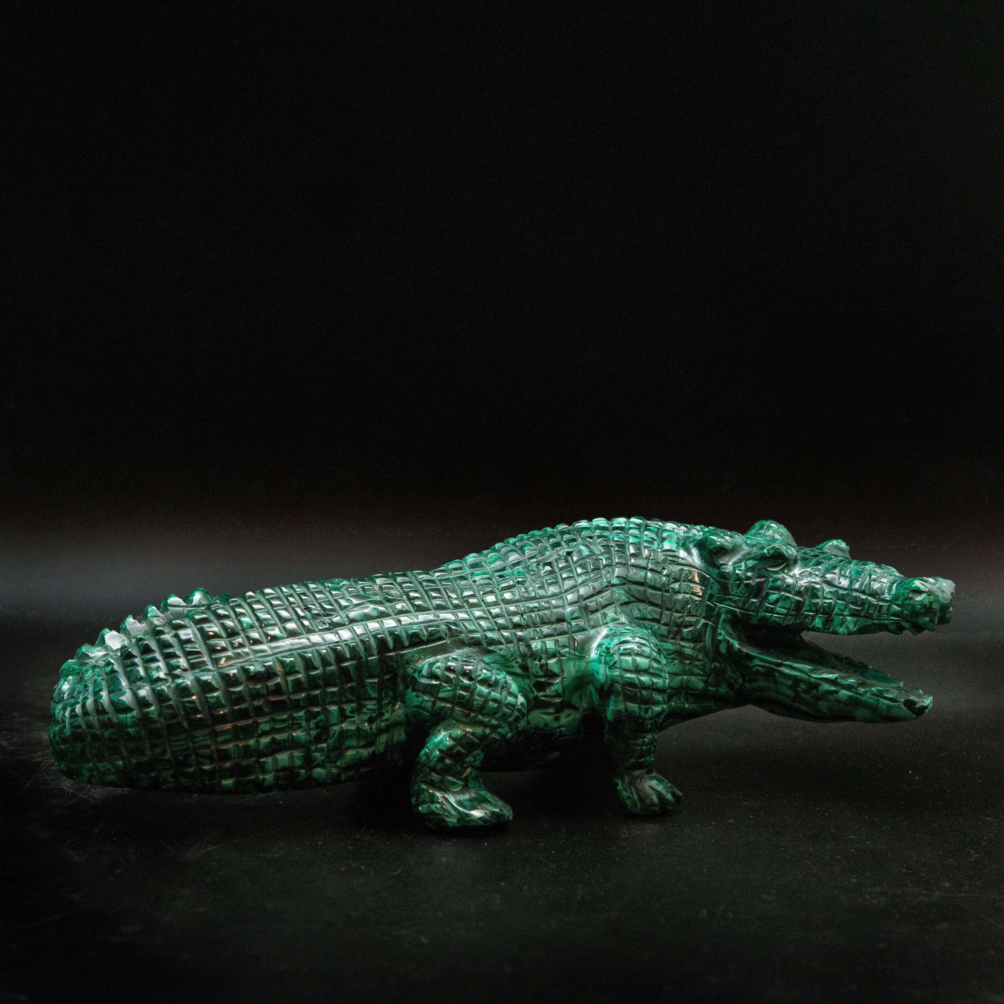Large Malachite Alligator 1
