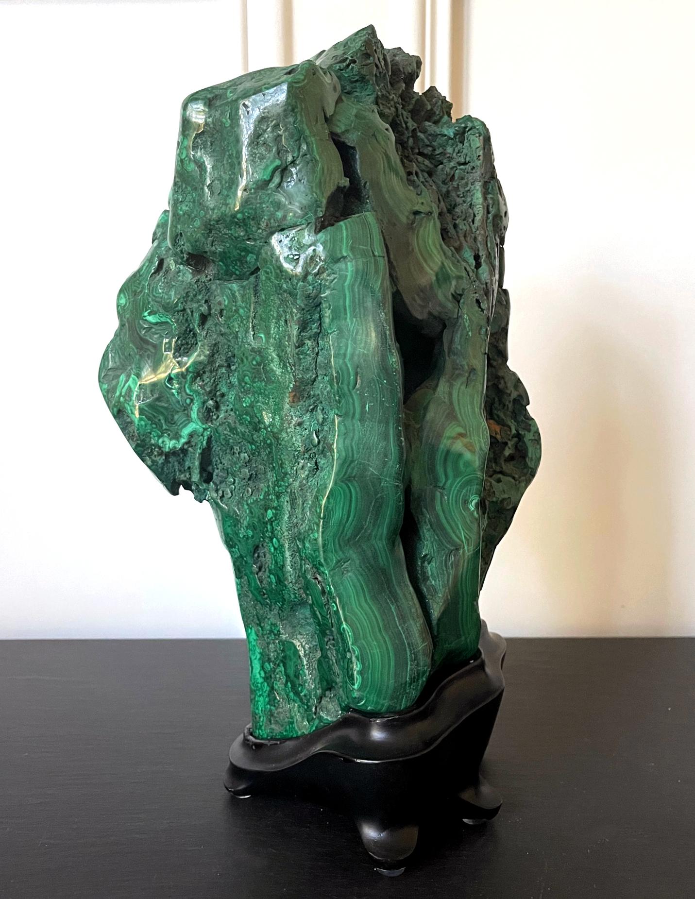 A large malachite rock specimen with intense green and black colors fitted on a wood stand and displayed as a Chinese scholar stone. The gemstone in the vertical botryoidal form was a solid boulder of impressive size and weight. It was polished on