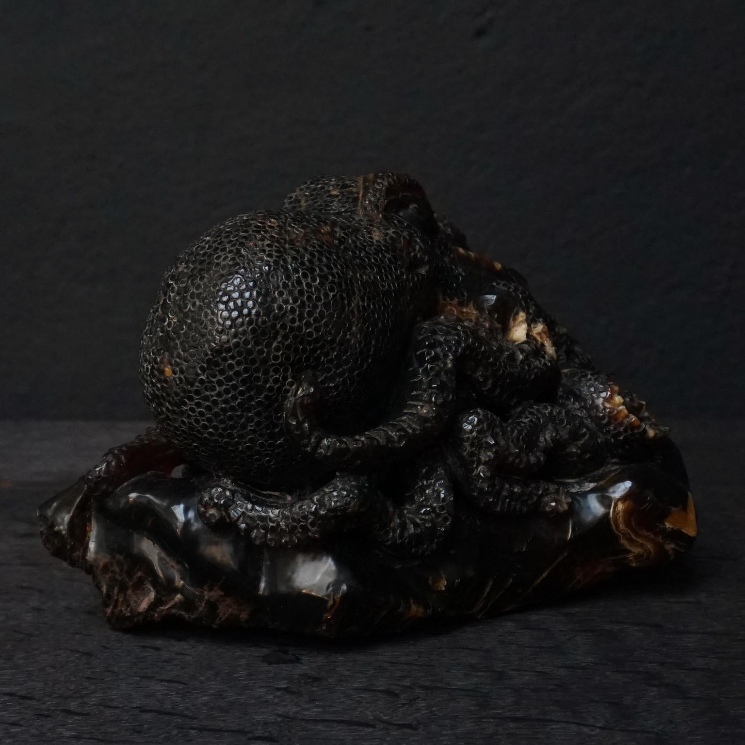 Grande pieuvre malaisienne Borneo du 20e siècle sculptée en ambre foncé 3