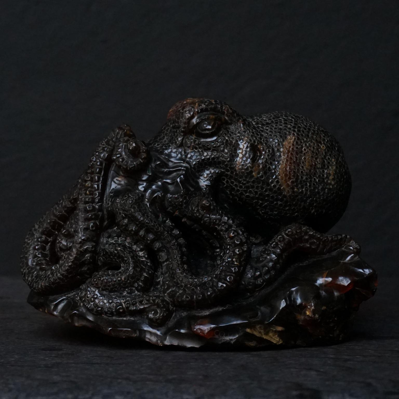 Très belle et grande pieuvre indonésienne en ambre Sarawak de couleur café foncé méticuleusement sculptée

L'ambre d'Indonésie est une résine d'arbre fossile (de l'arbre Shorea) trouvée en association avec du charbon et du lignite datant d'environ