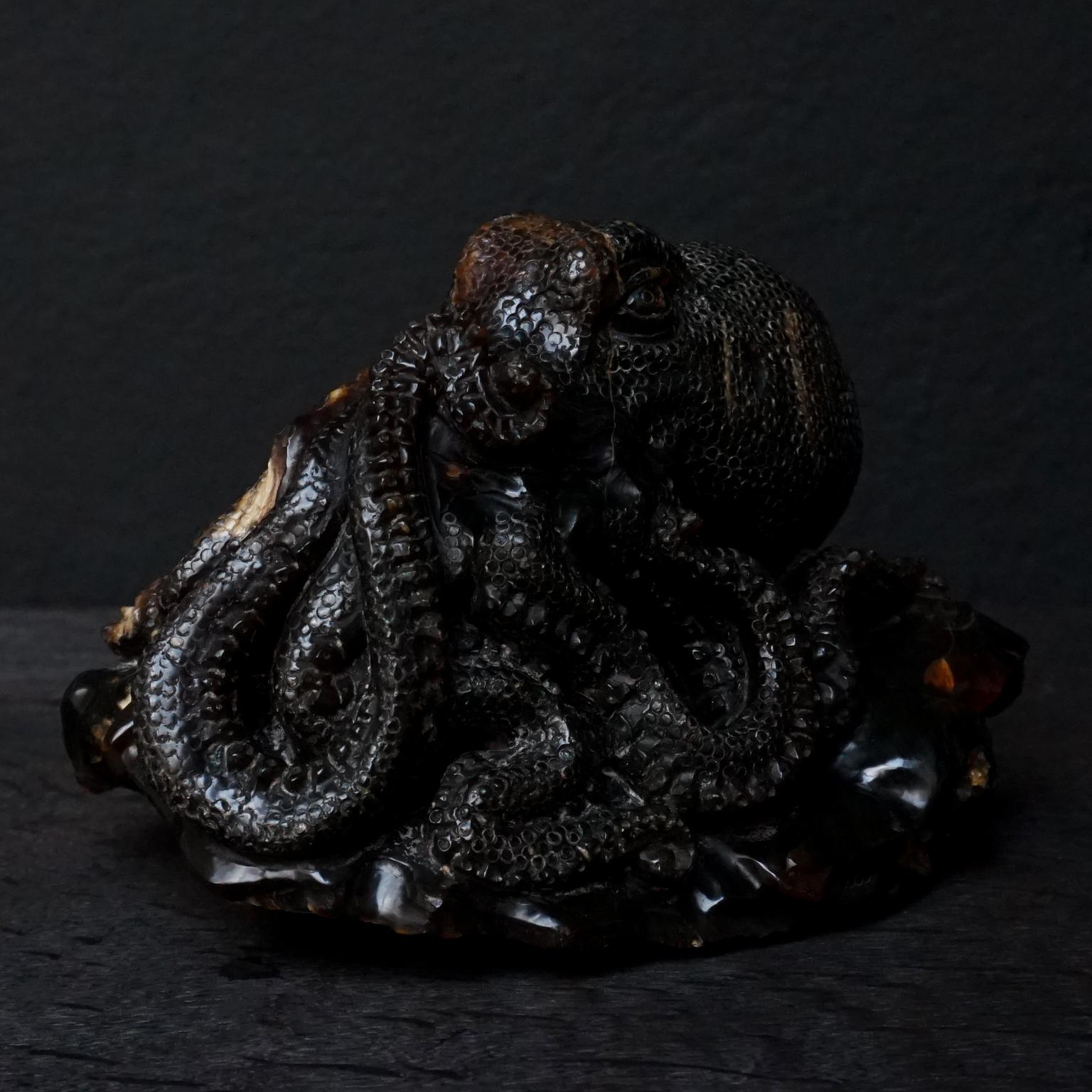 Grande pieuvre malaisienne Borneo du 20e siècle sculptée en ambre foncé 1