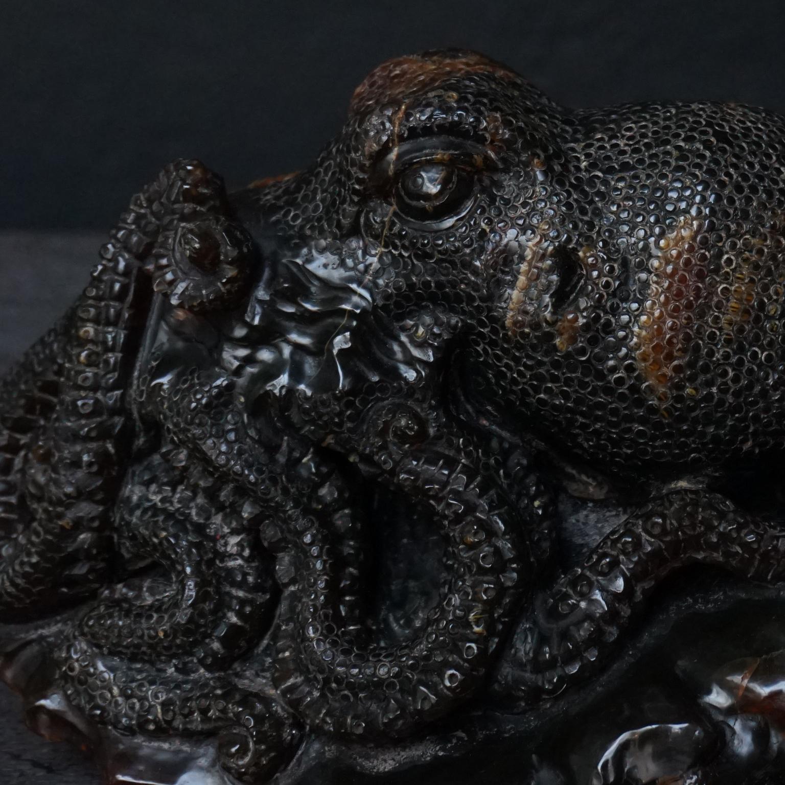 Grande pieuvre malaisienne Borneo du 20e siècle sculptée en ambre foncé 2