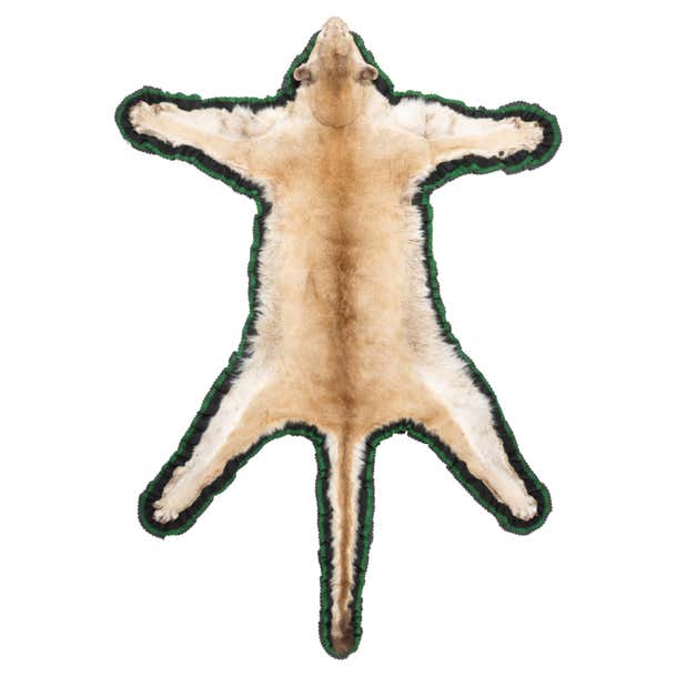 Large Male Cougar Taxidermy Rug For Sale at 1stDibs