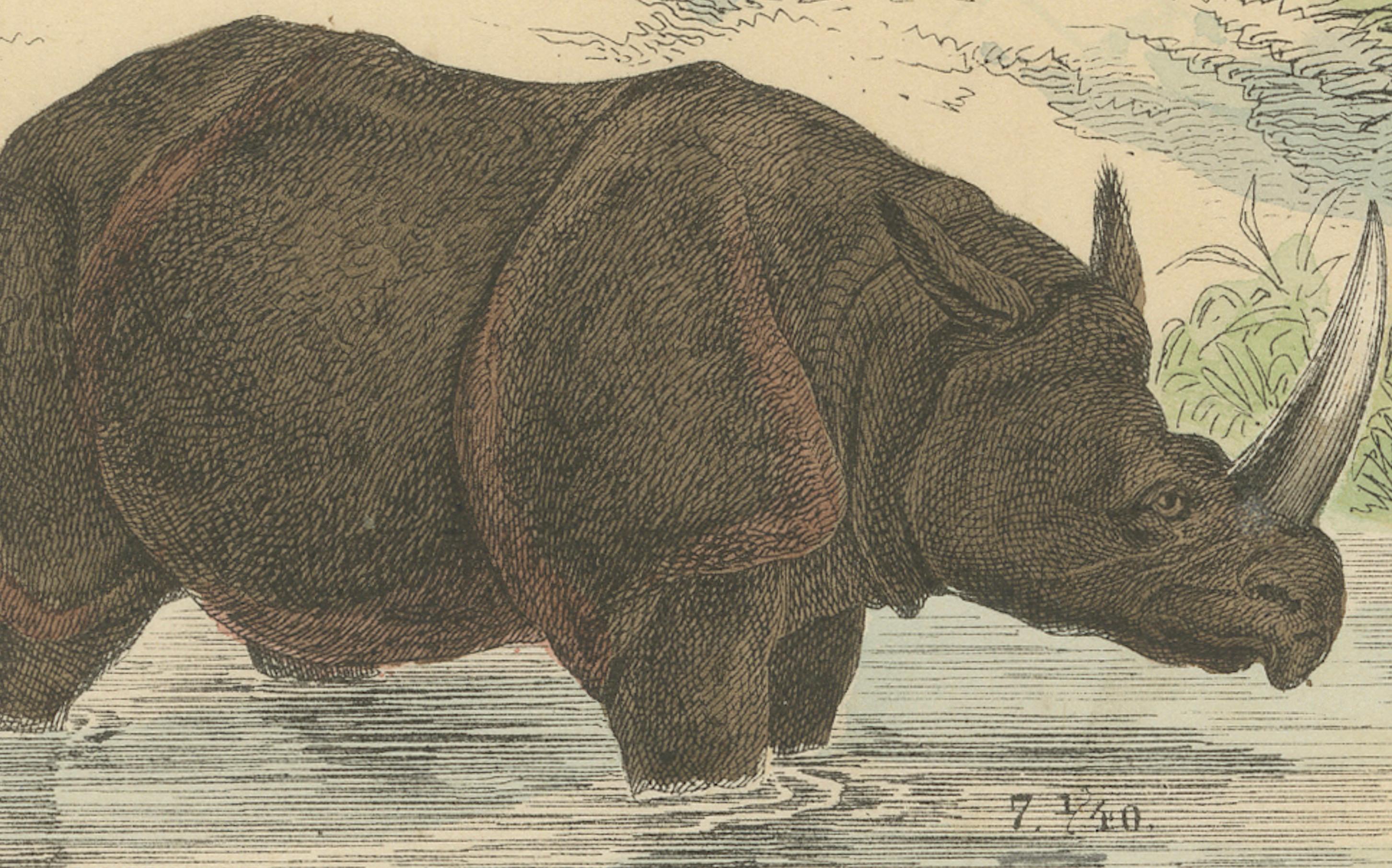 Große Säugetiere drucken: Elefant, Nashorn, Nilpferd & Tapir - Antik 1867 im Zustand „Gut“ im Angebot in Langweer, NL