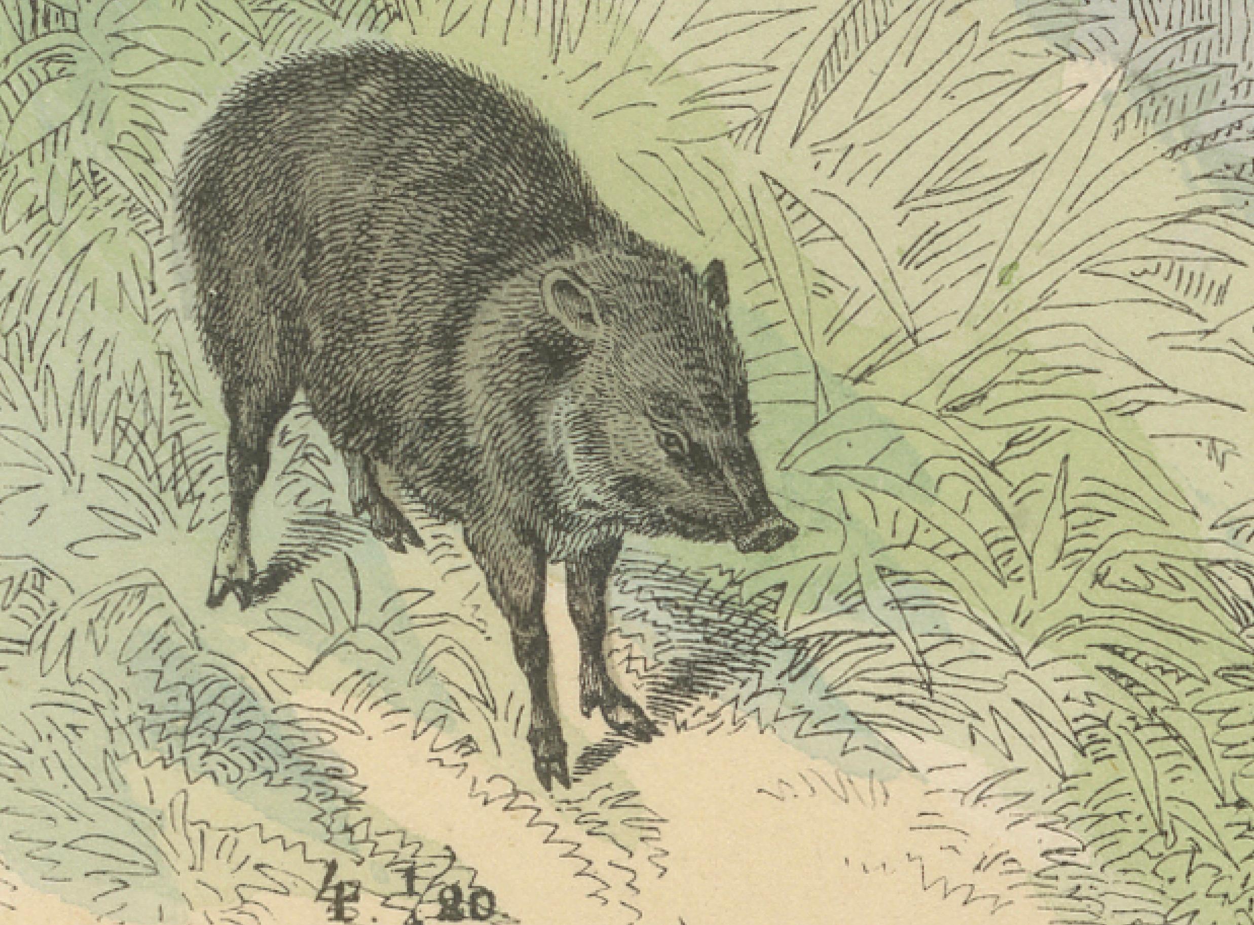 Große Säugetiere drucken: Elefant, Nashorn, Nilpferd & Tapir - Antik 1867 (Papier) im Angebot