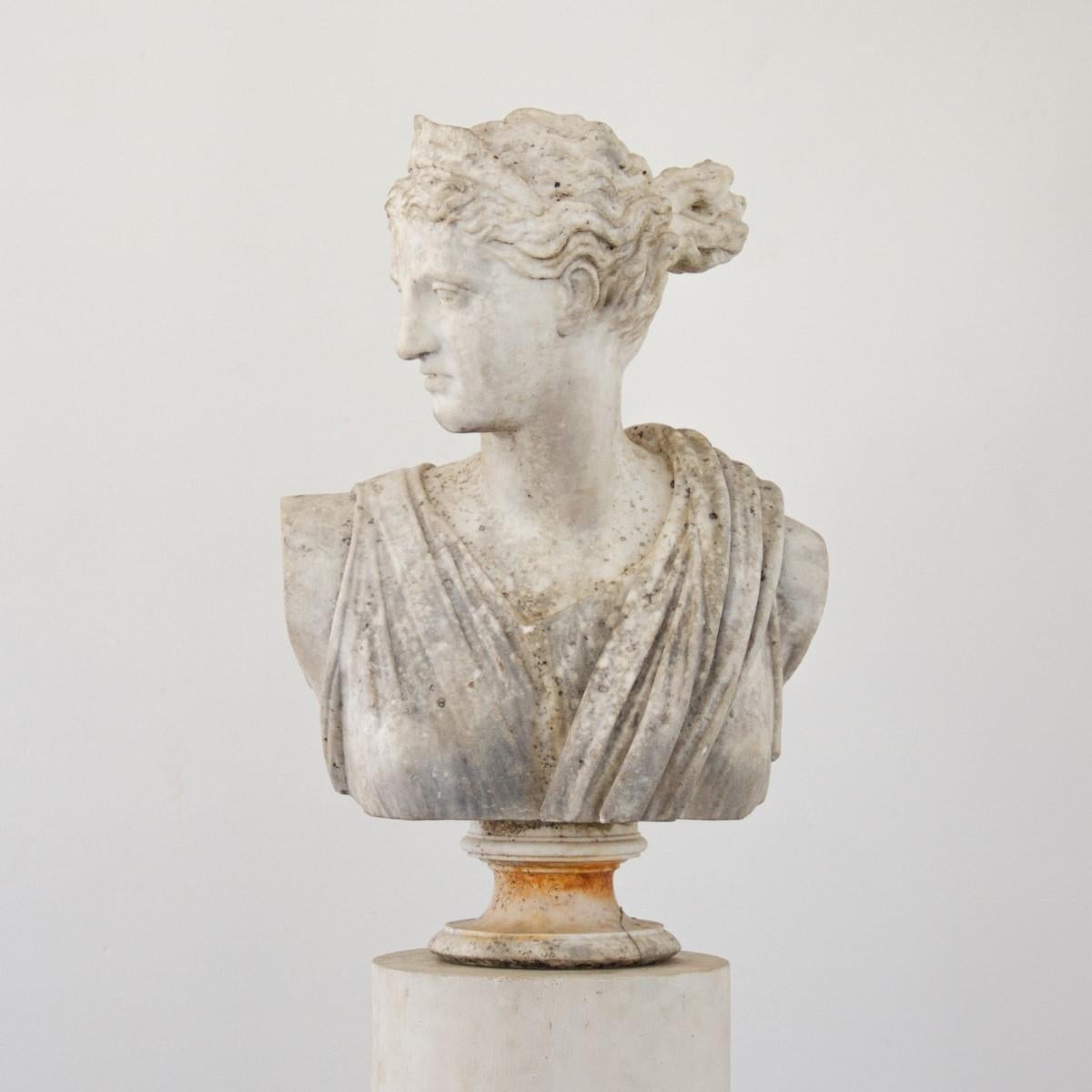 A large marble bust of Diana the Huntress.

Diana is a virgin goddess in Roman and Hellenistic religion, primarily considered a protector of childbirth, patroness of the countryside, hunters, crossroads, and the Moon. She is equated with the Greek