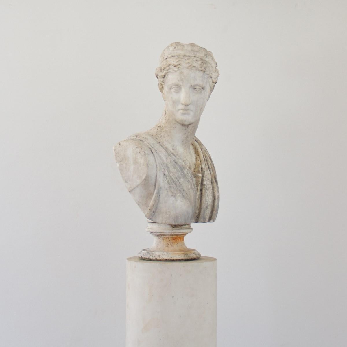 marble bust of diana