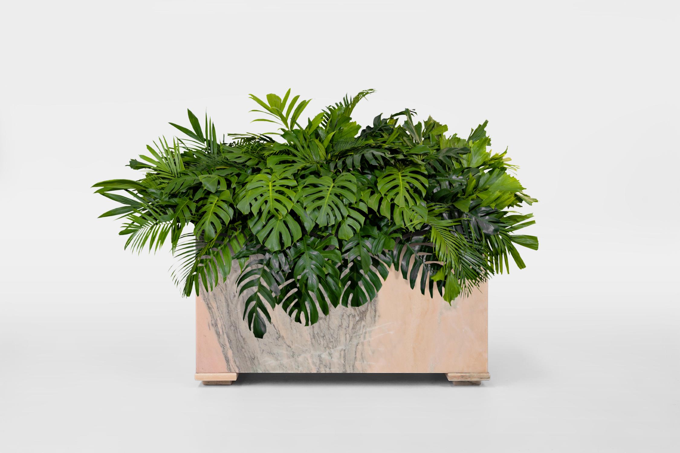 Belgium / 1980 / planter / marble / mid-century

Exquisite large square planter with minimalistic design in luxurious pink marble. Made in Belgium in the 1980s. Standing of 4 square marble feet this impressive piece, crafted with the finest