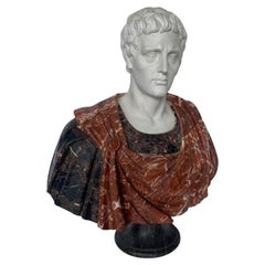 Grande esemplare di busto di Giulio Cesare in marmo