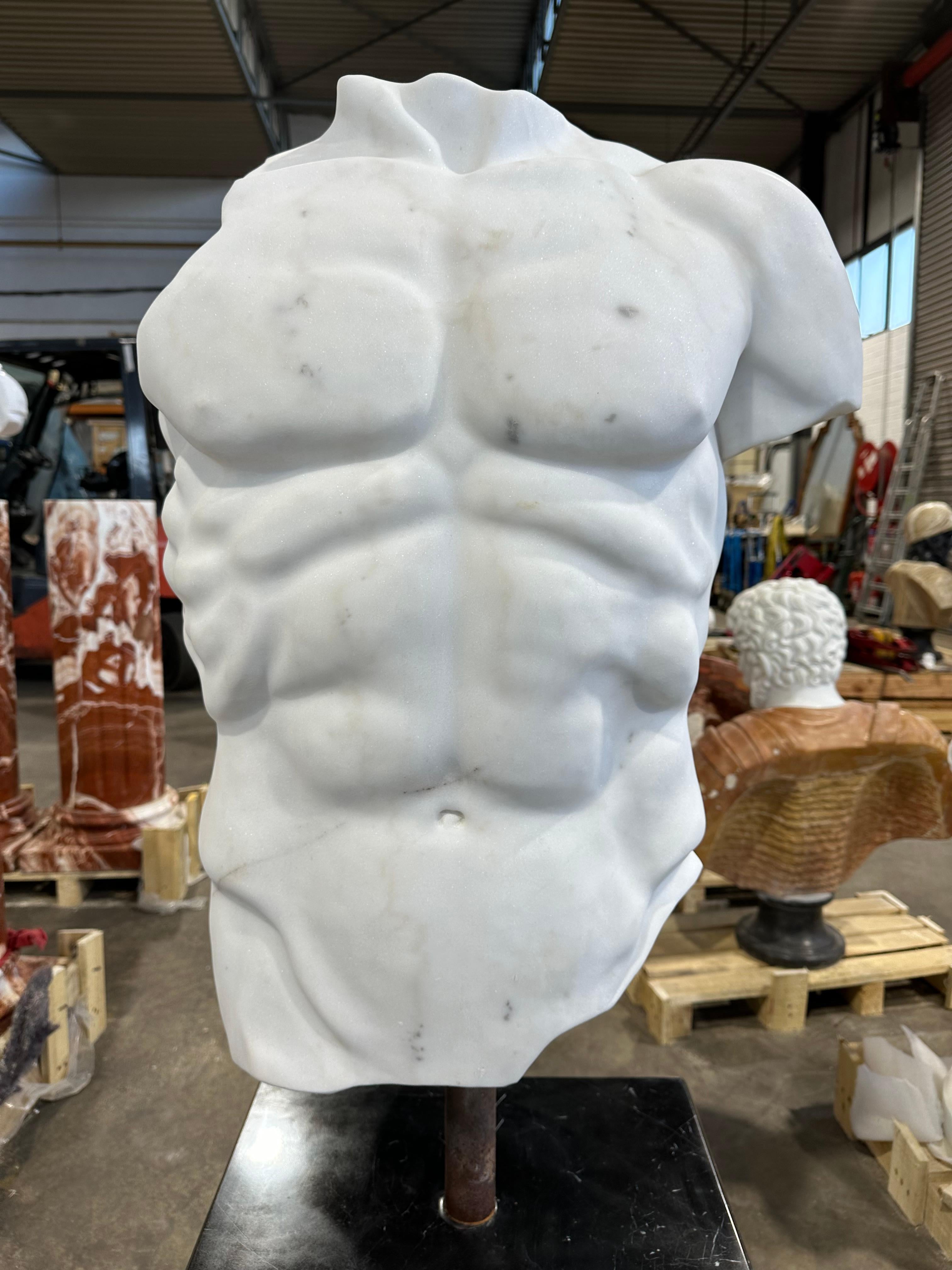 A skilfully carved and detailed Greek Style Male torso in white marble on a black marble stand. The contours of the muscles are defined, the marble smooth. A striking bust that would make a lovely centrepiece.