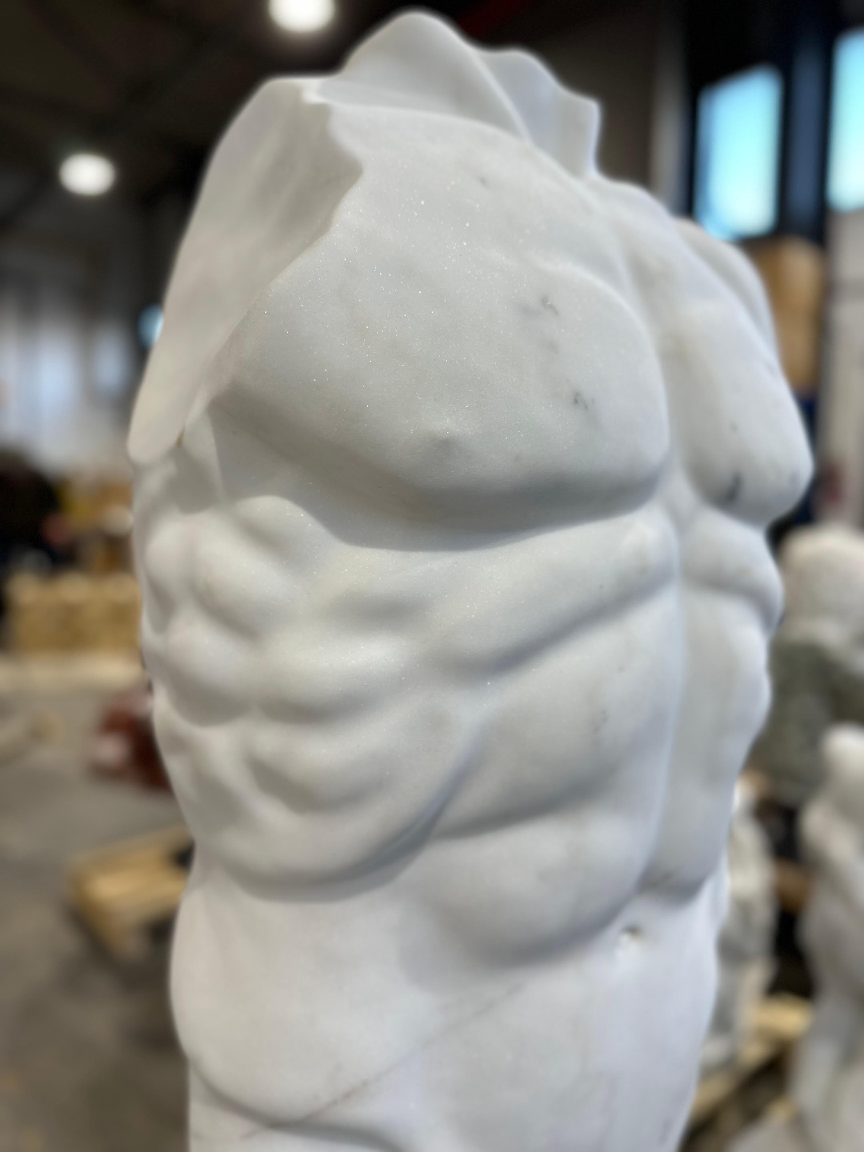 Large Marble Torso On Black Marble Stand In Good Condition For Sale In Southall, GB