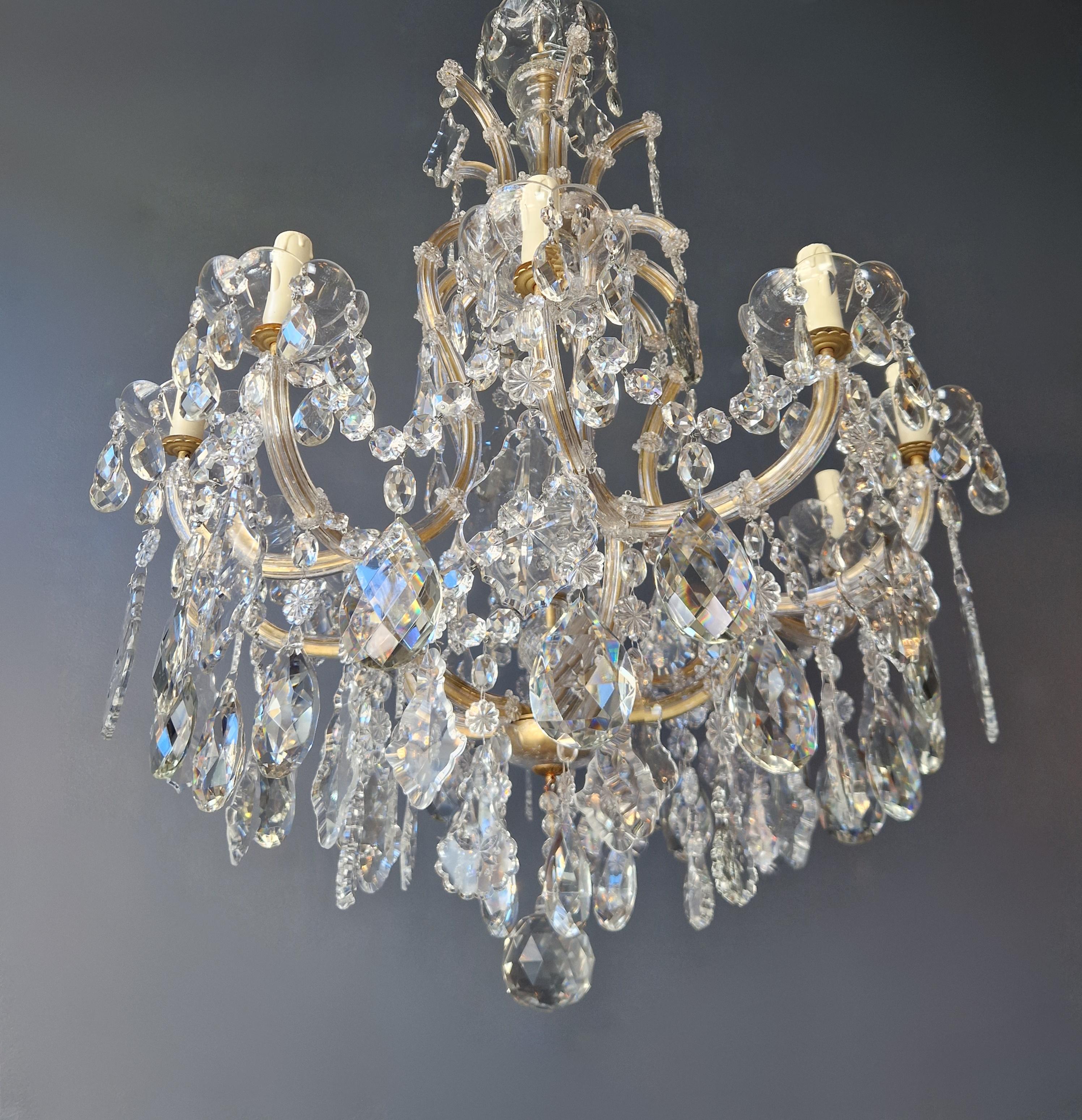 18th Century Large Maria Theresa Crystal Chandelier Antique Classic Clear Glass For Sale