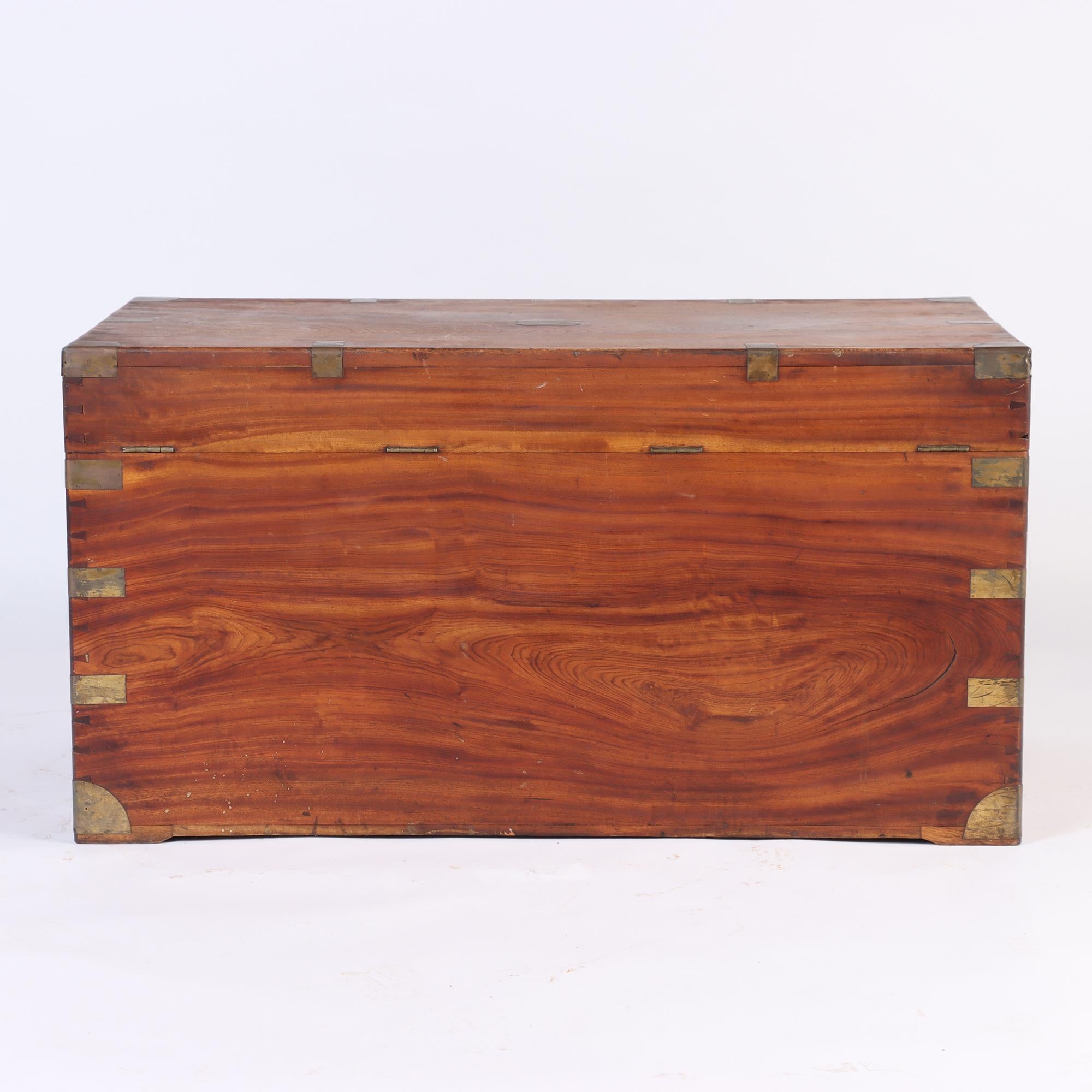 Large Marine Chest / Campaign Chest in Camphor Wood from the 19th Century For Sale 3