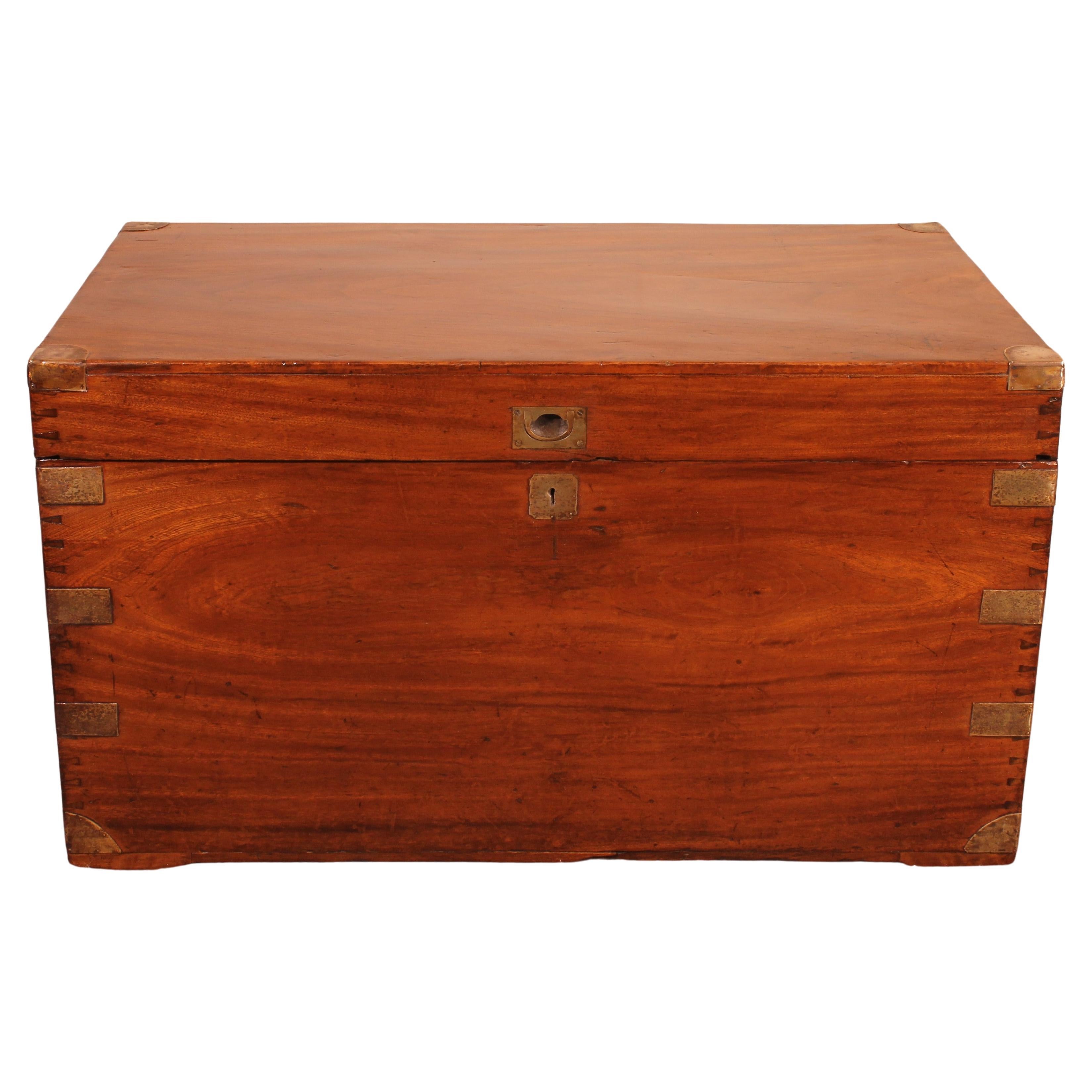 Campaign Chest In Camphor Camphor Wood For Sale at 1stDibs