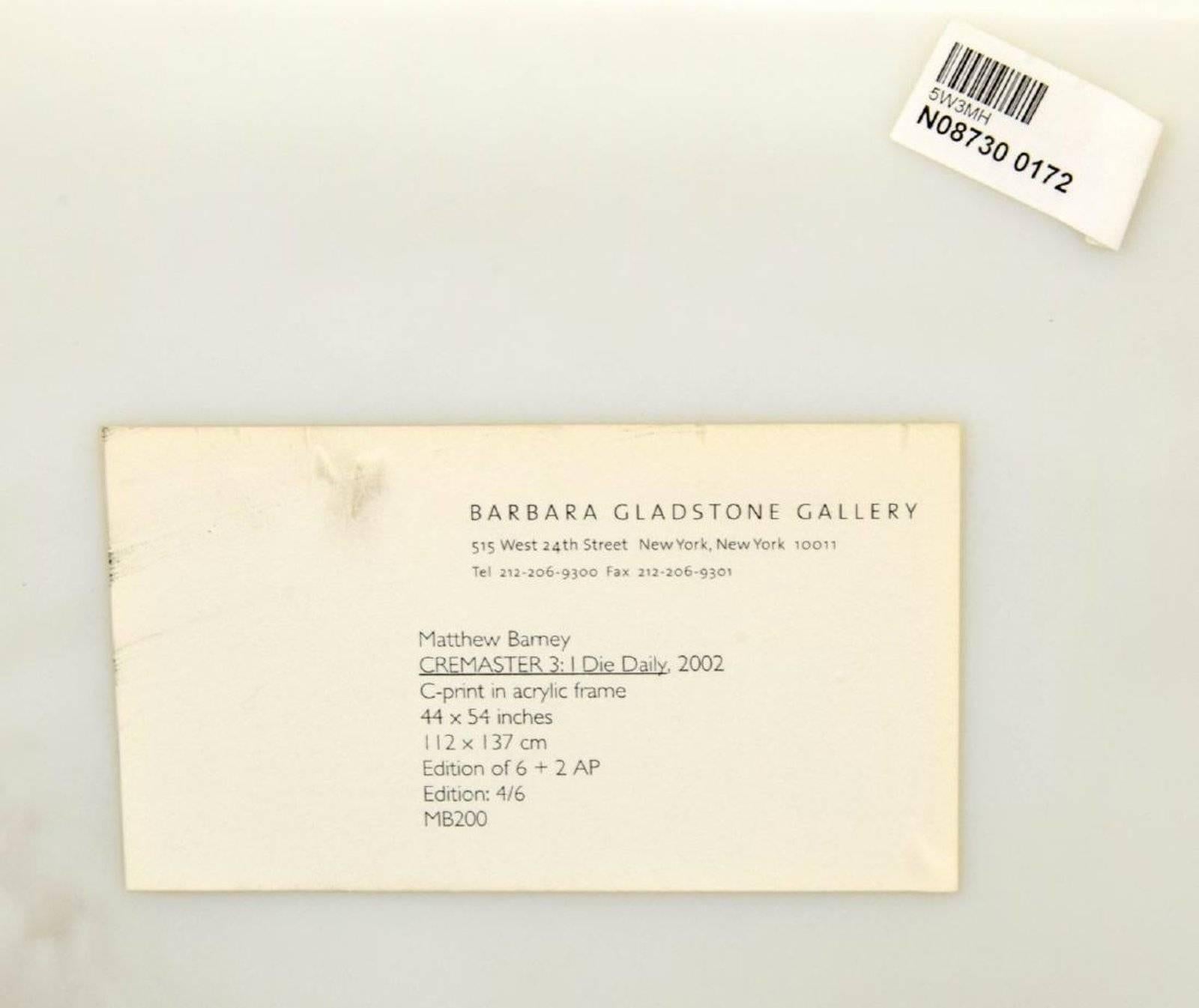 Post-Modern Large Matthew Barney Cremaster C-Print For Sale