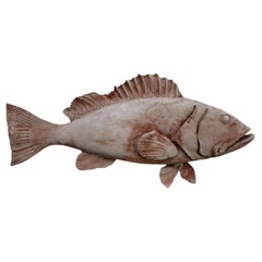 LARGE MEDITERRANEAN GROUPER IN TERRACOTTa
