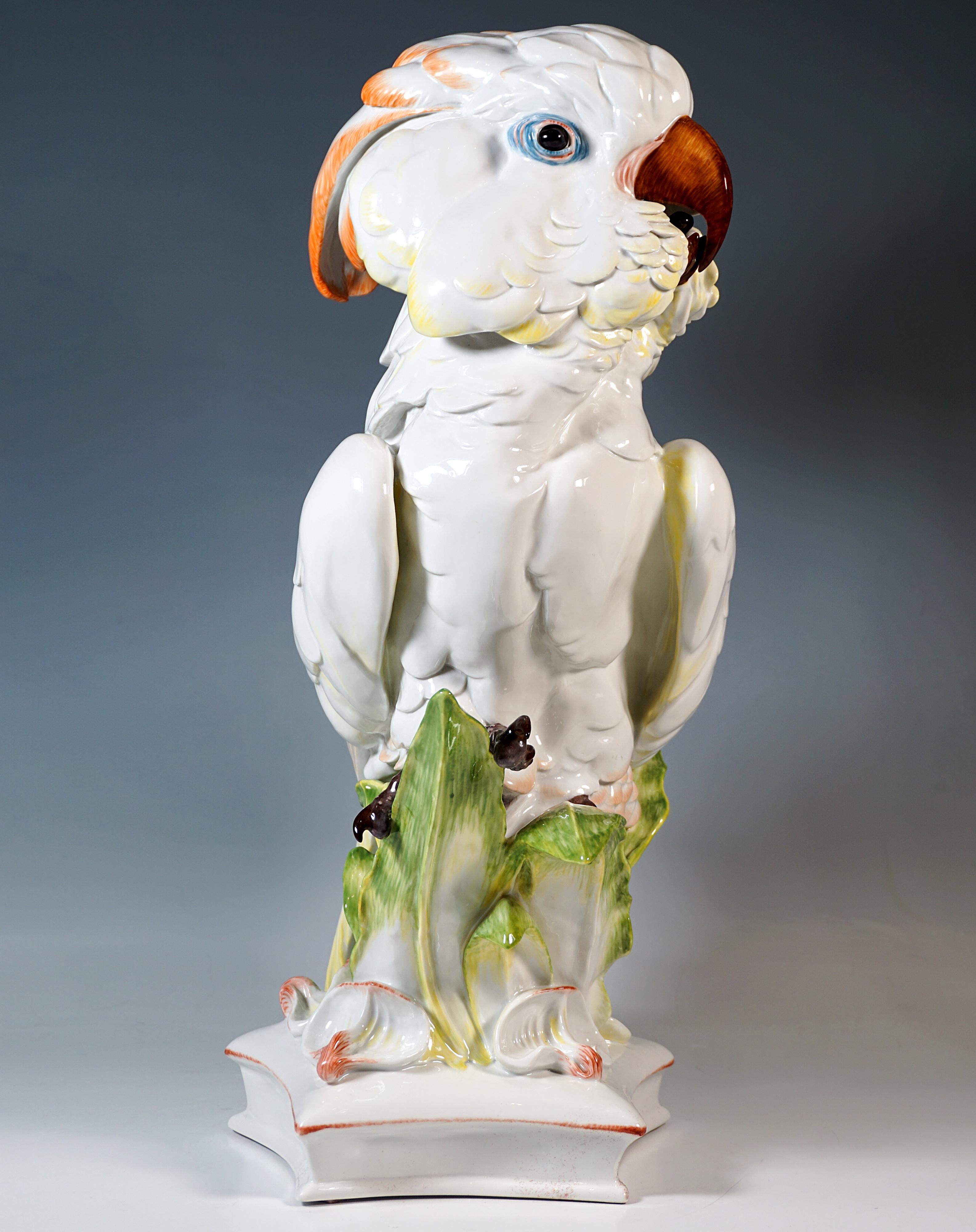 Art Déco Grande figura di animale di Meissen, Cacatua delle Molucche, di Paul Walther, XX secolo in vendita