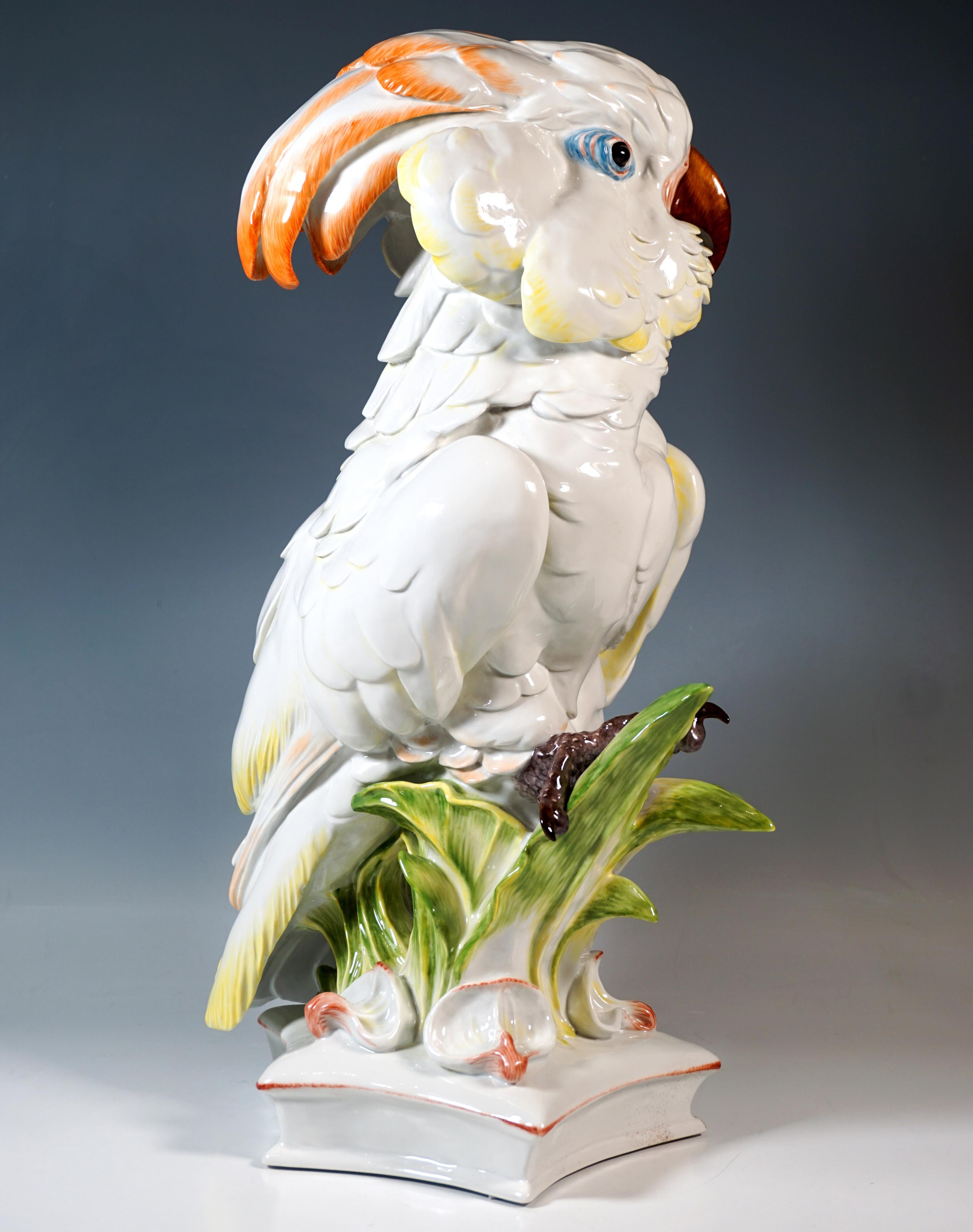 Tedesco Grande figura di animale di Meissen, Cacatua delle Molucche, di Paul Walther, XX secolo in vendita