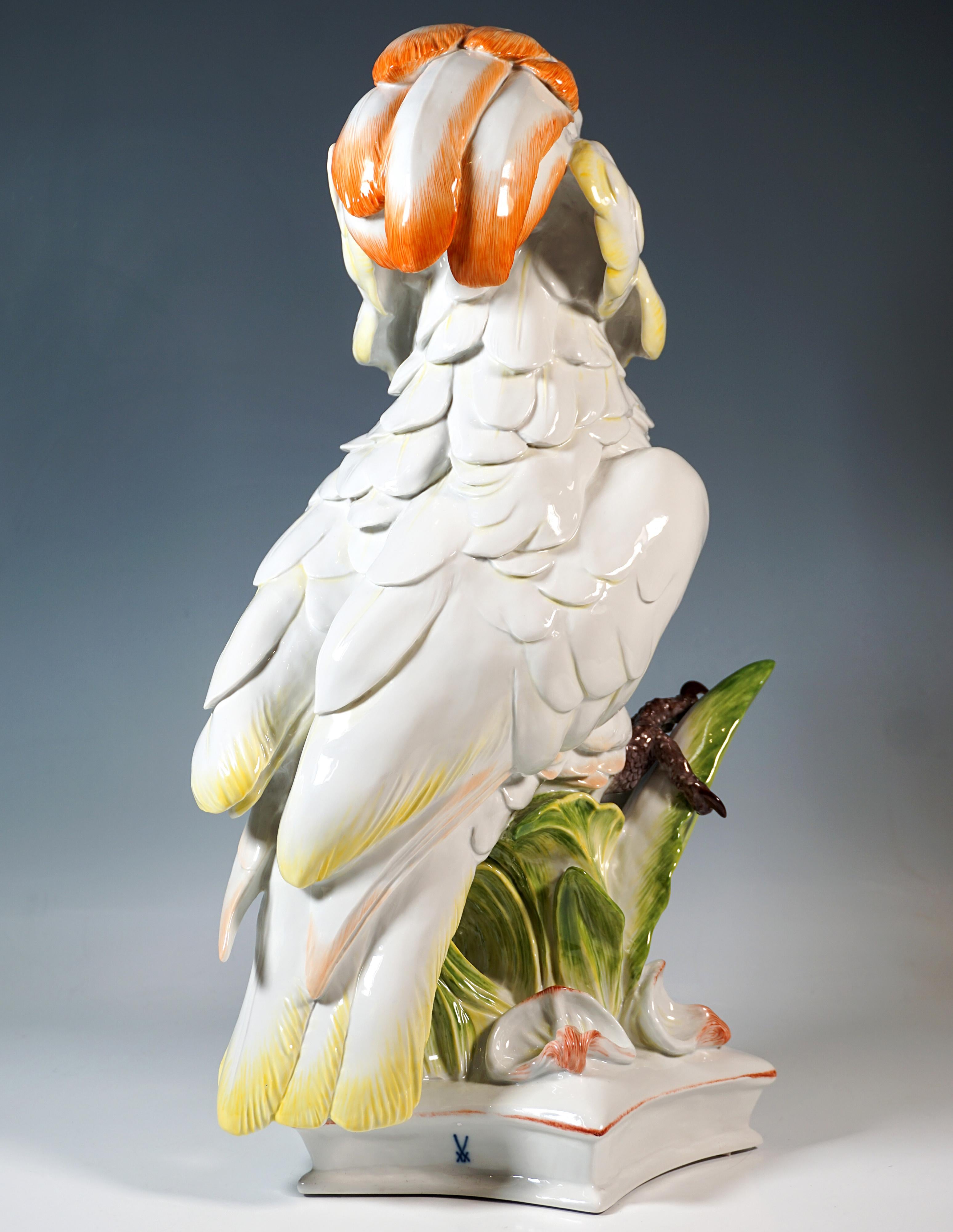 Fatto a mano Grande figura di animale di Meissen, Cacatua delle Molucche, di Paul Walther, XX secolo in vendita