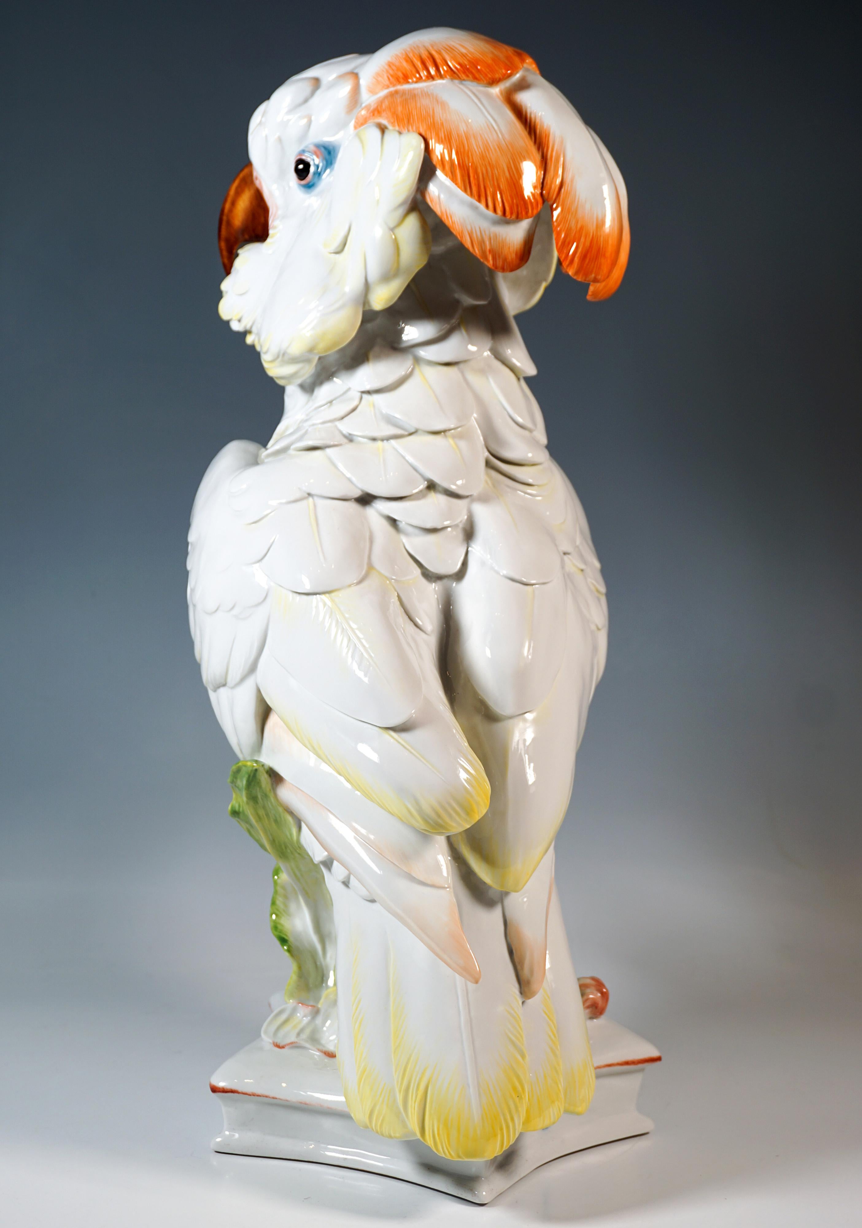 Grande figura di animale di Meissen, Cacatua delle Molucche, di Paul Walther, XX secolo In condizioni buone in vendita a Vienna, AT