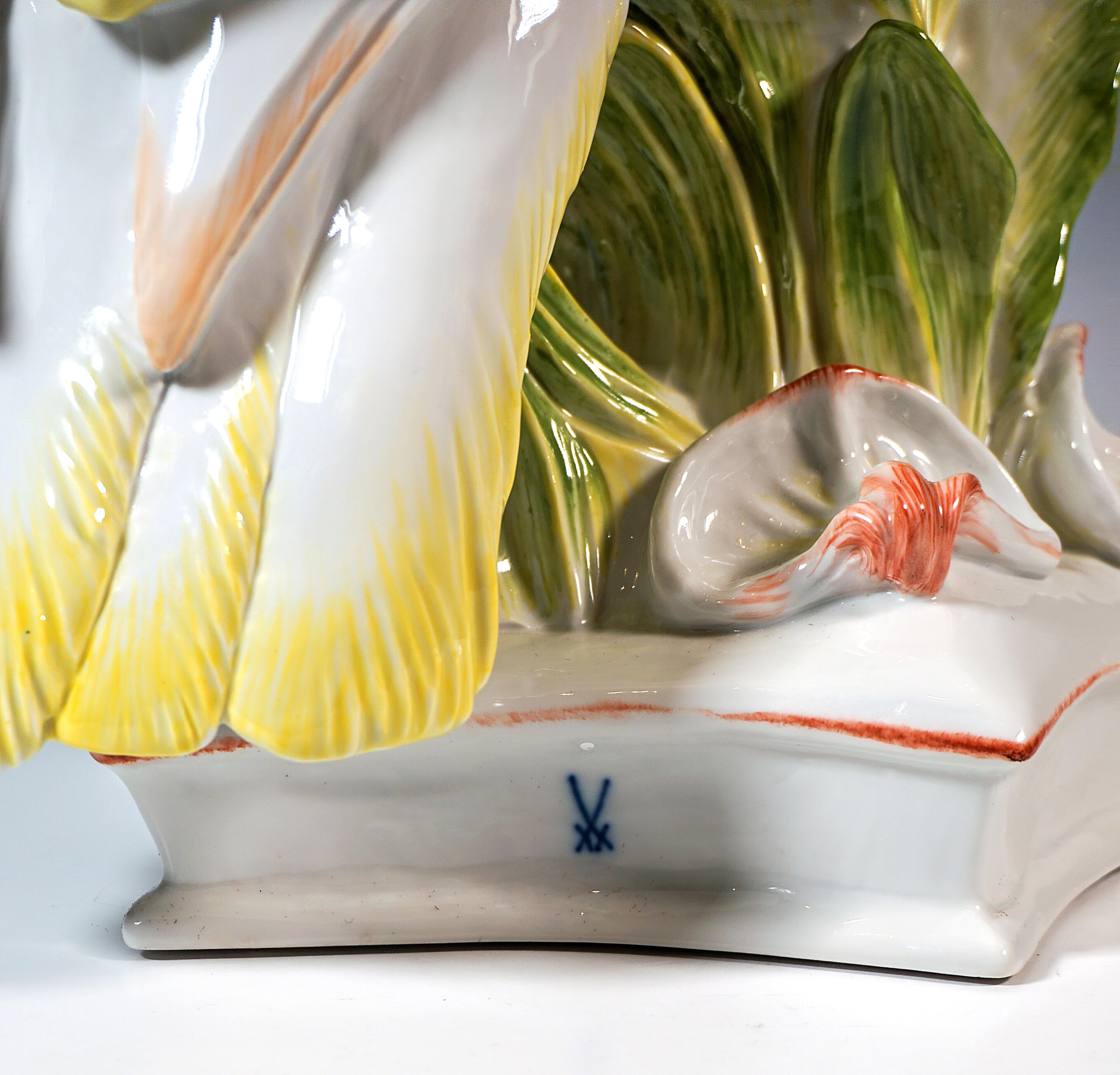 Porcellana Grande figura di animale di Meissen, Cacatua delle Molucche, di Paul Walther, XX secolo in vendita