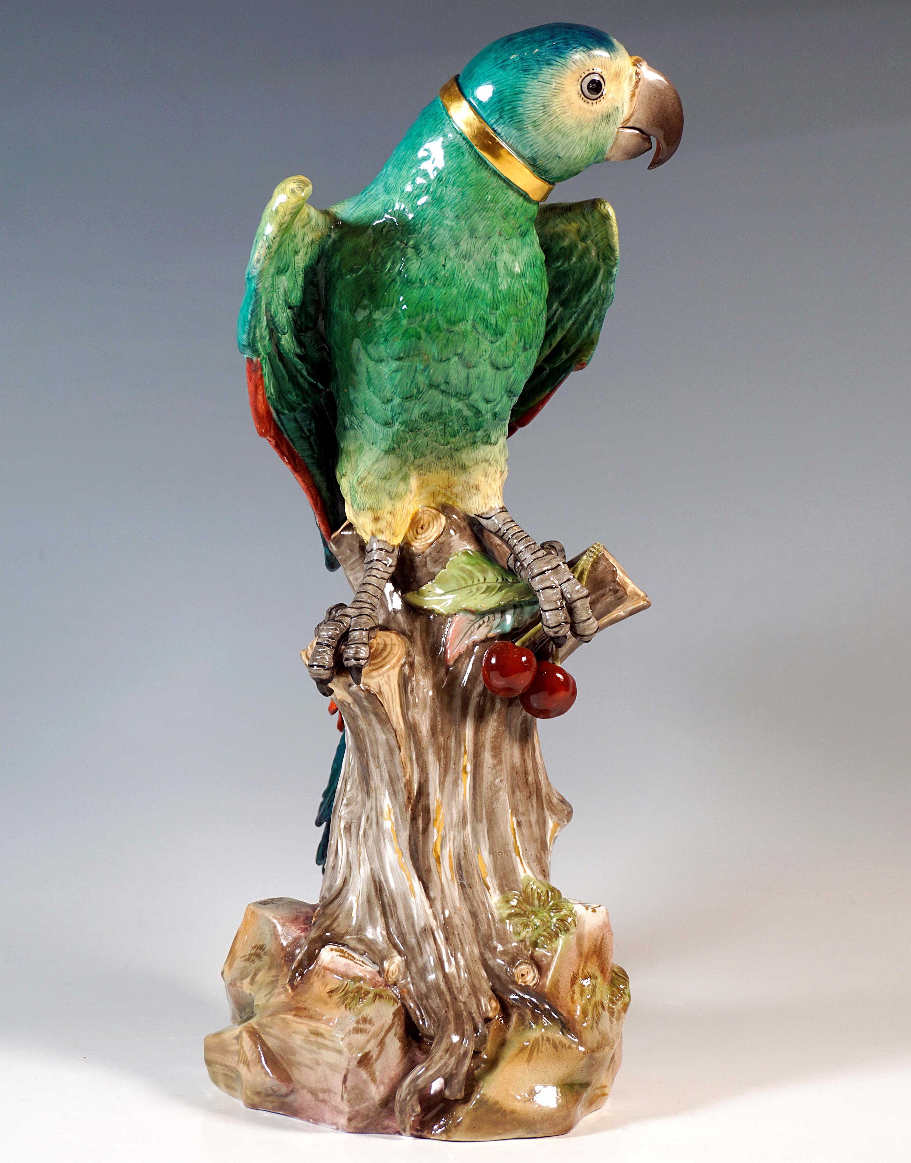 Excellent lifelike depiction of an exotic bird with a golden necklace sitting on a sturdy tree trunk, turning its head to the left and clutching a pair of cherries with its left claw.
Detailed execution of the scenery in bold colours, based on a