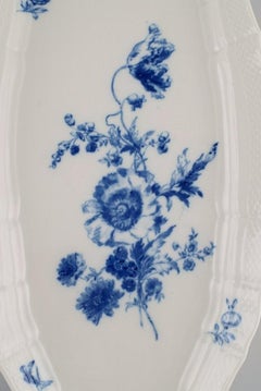 Large Meissen Fish Dish in Hand-Painted Porcelain, Early 20th Century