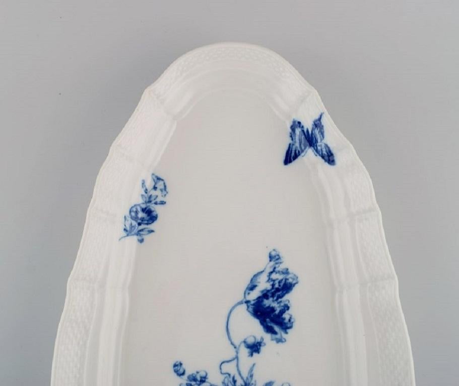 German Large Meissen Fish Dish in Hand-Painted Porcelain, Early 20th Century For Sale