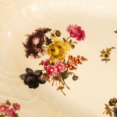 Large Meissen Platter with Botanical Paintings, Fluted Border and Curved Edges