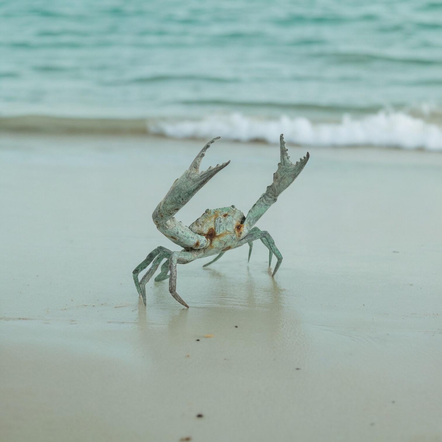 This verdigris metal crab statue was most likely made in the 1960s in Italy. Can not tell the maker or the artist and it is not signed. This particular crab statue is a beautiful piece, it can be displayed as a sculptural focal point on a credenza