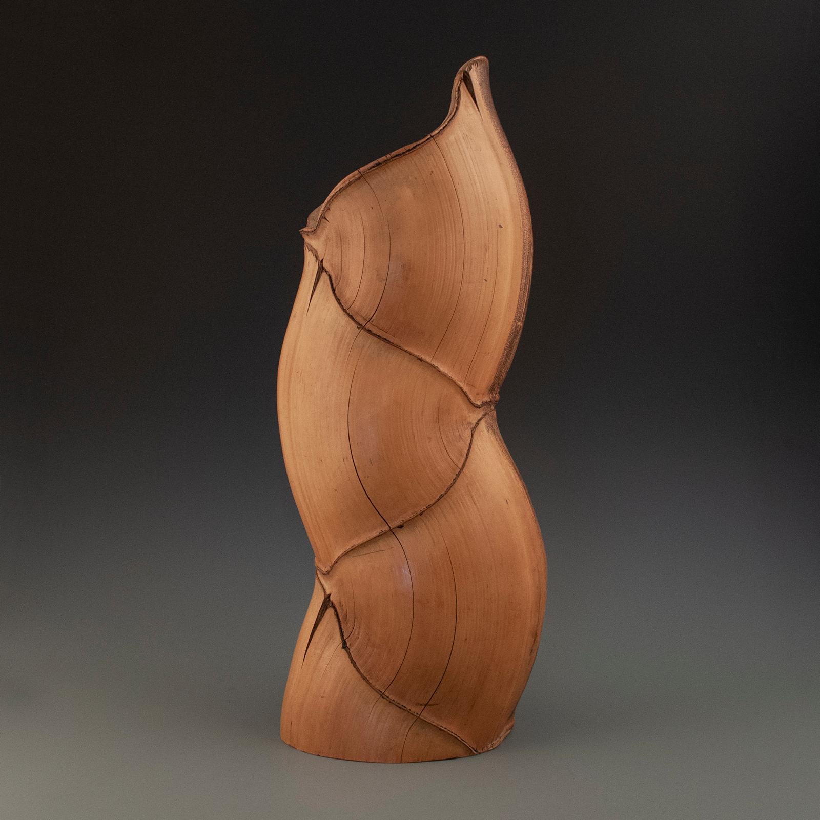 Hand-Crafted Large Mid-20th Century Bamboo Ikebana Vase, Japan