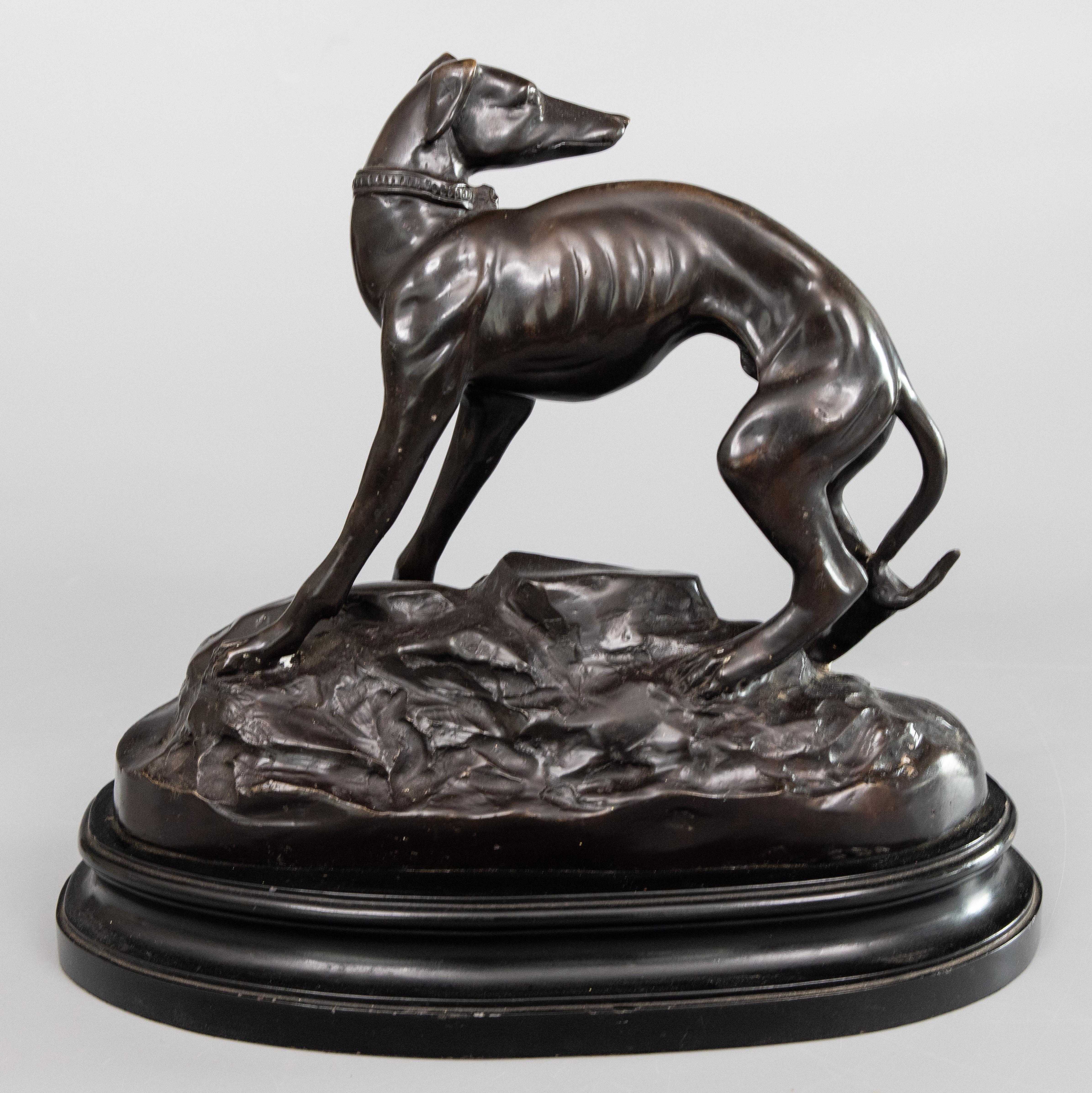 Una superba scultura di cane Greyhound o Whippet in metallo fuso in tonalità bronzo della metà del secolo scorso su una base di legno. Nessun marchio di fabbrica. Questa bella scultura è di grandi dimensioni e pesante, con un peso di oltre 13