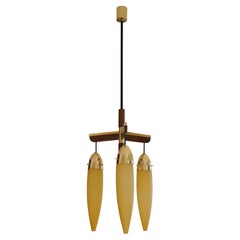 Large Mid-Century Chandelier, 1950s