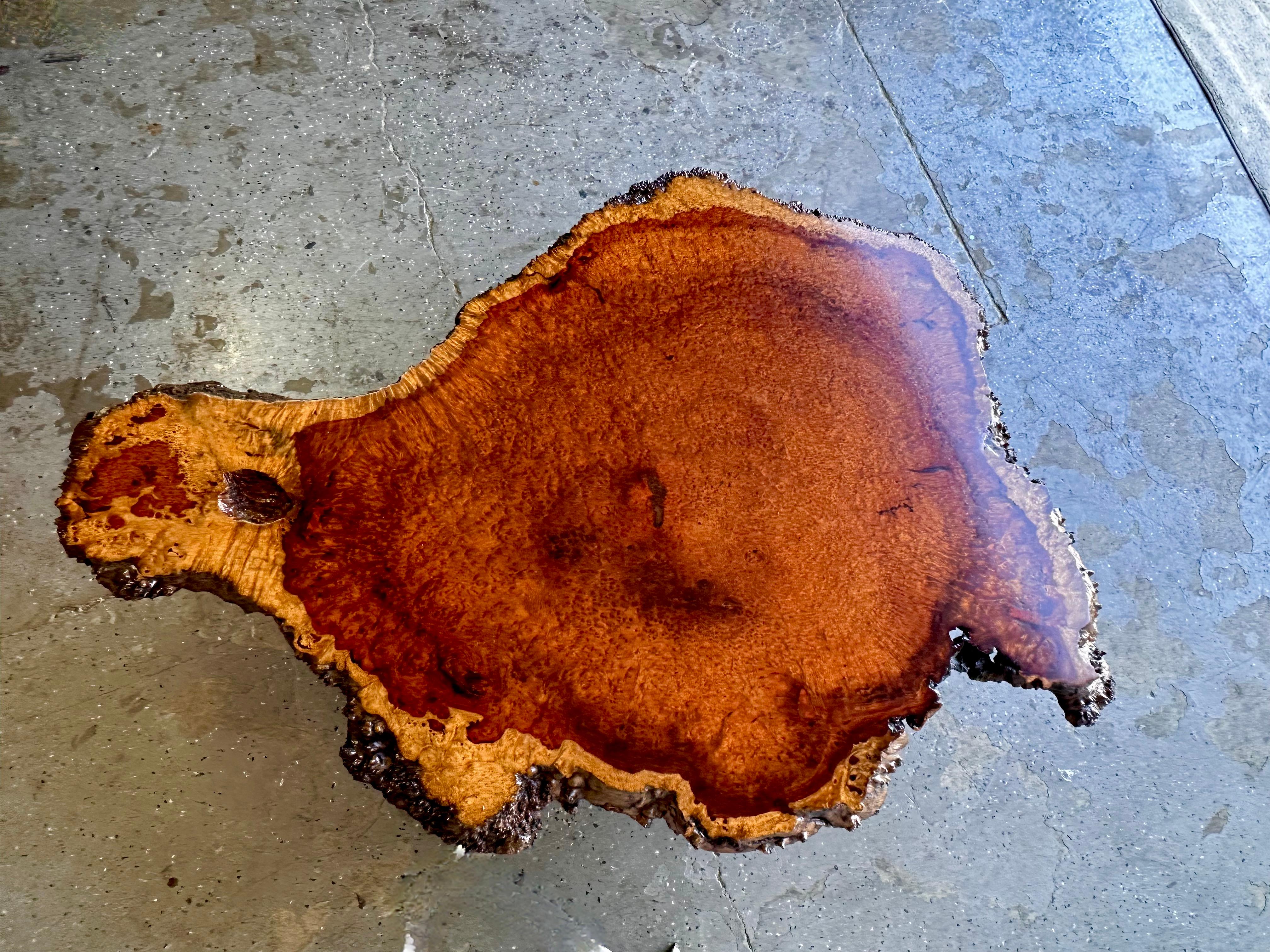 Large Mid Century Exotic Unique Live Edge Burl Wood Coffee Table For Sale 4