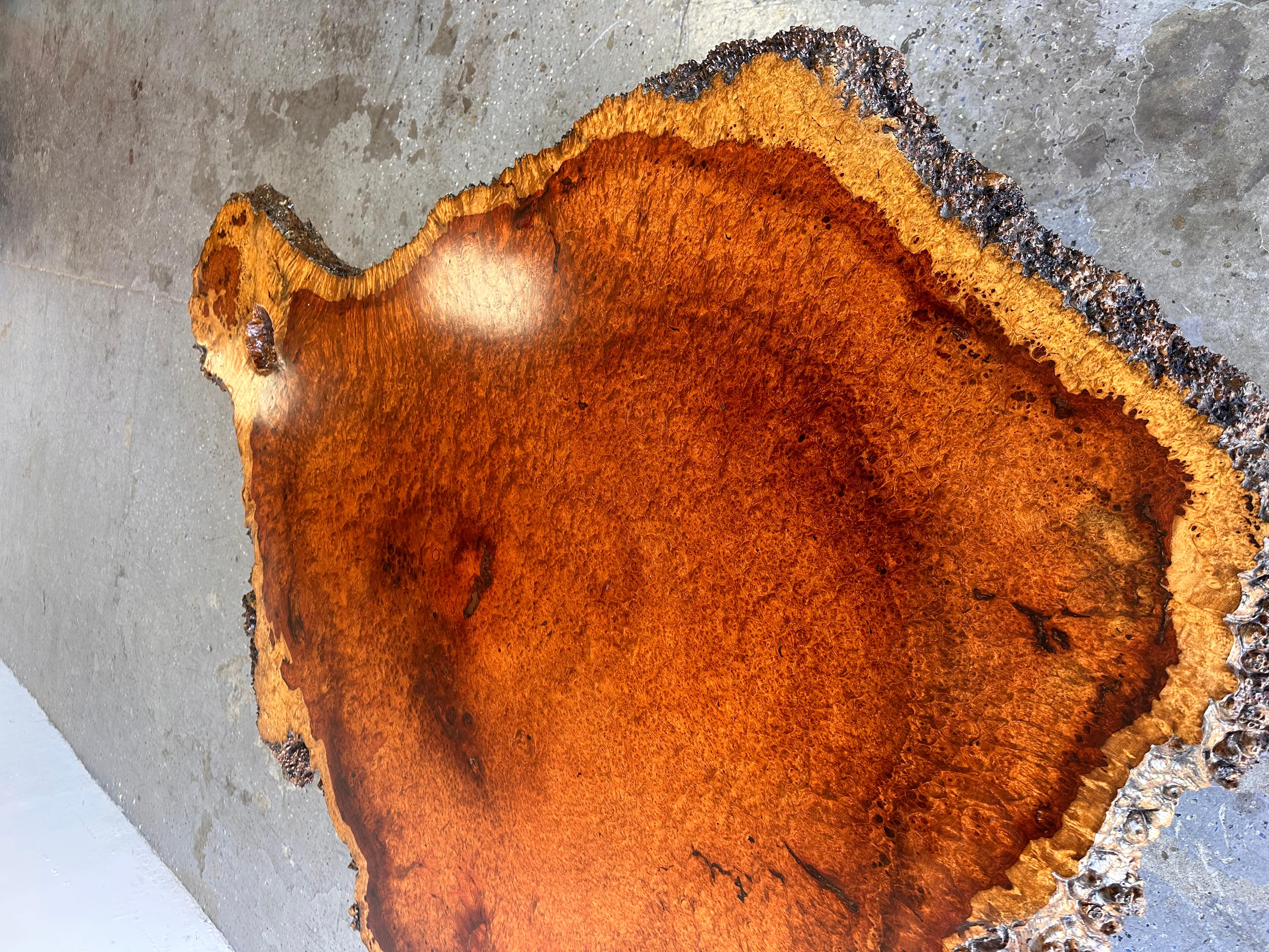 Large Mid Century Exotic Unique Live Edge Burl Wood Coffee Table For Sale 5