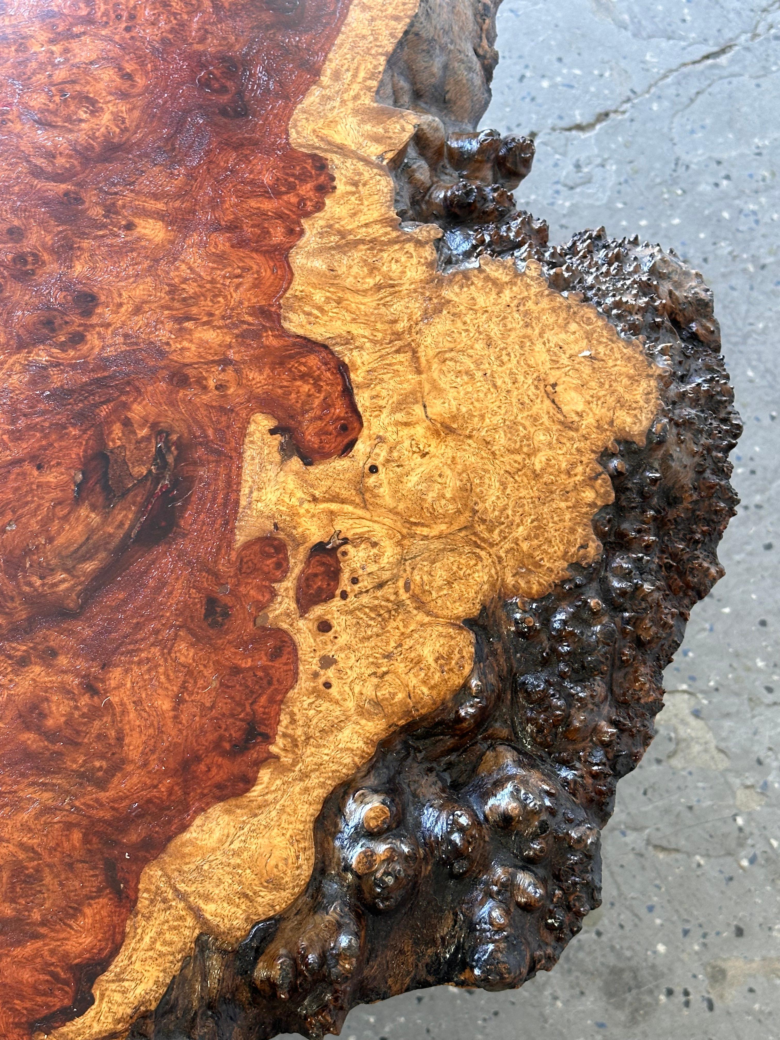 Large Mid Century Exotic Unique Live Edge Burl Wood Coffee Table For Sale 8