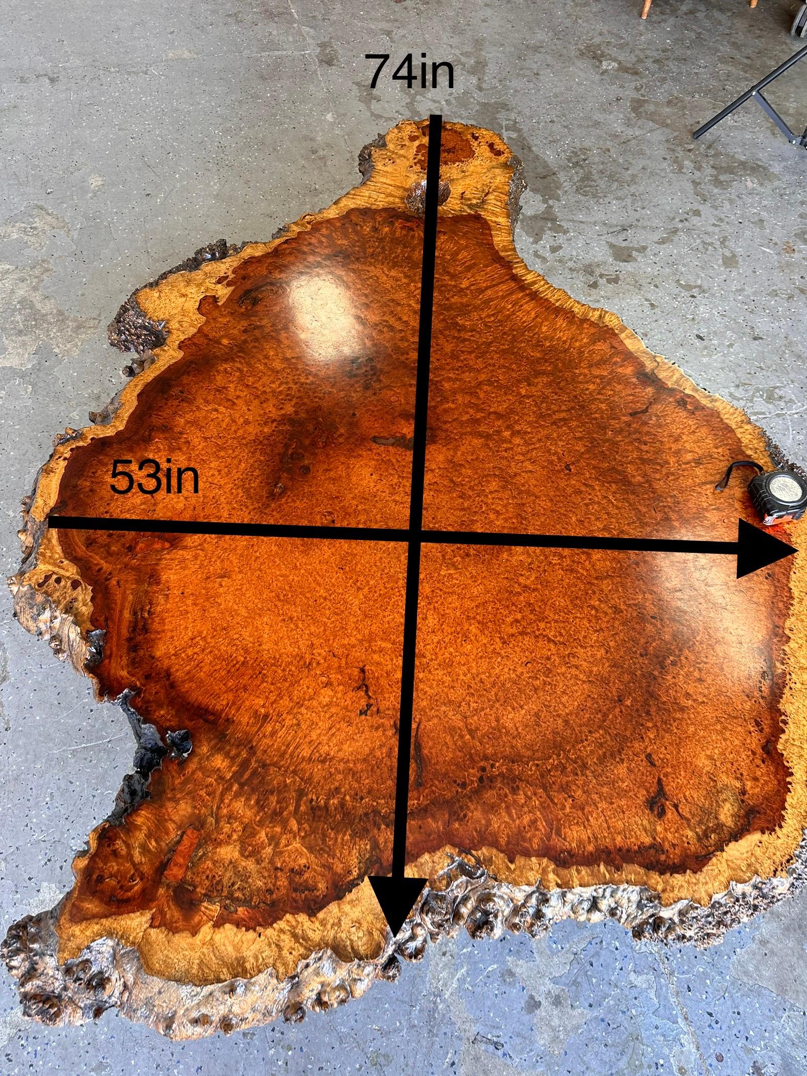 Large Mid Century Exotic Unique Live Edge Burl Wood Coffee Table For Sale 12