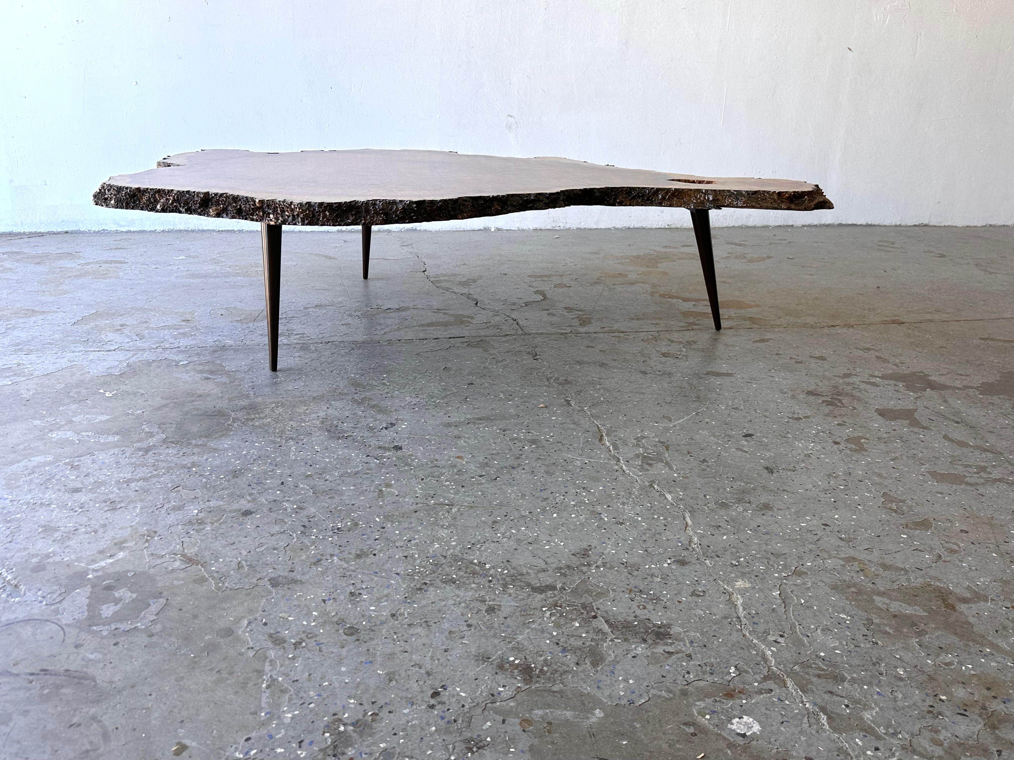 Mid-Century Modern Grande table basse en bois de ronce exotique du milieu du siècle, unique et vivante en vente