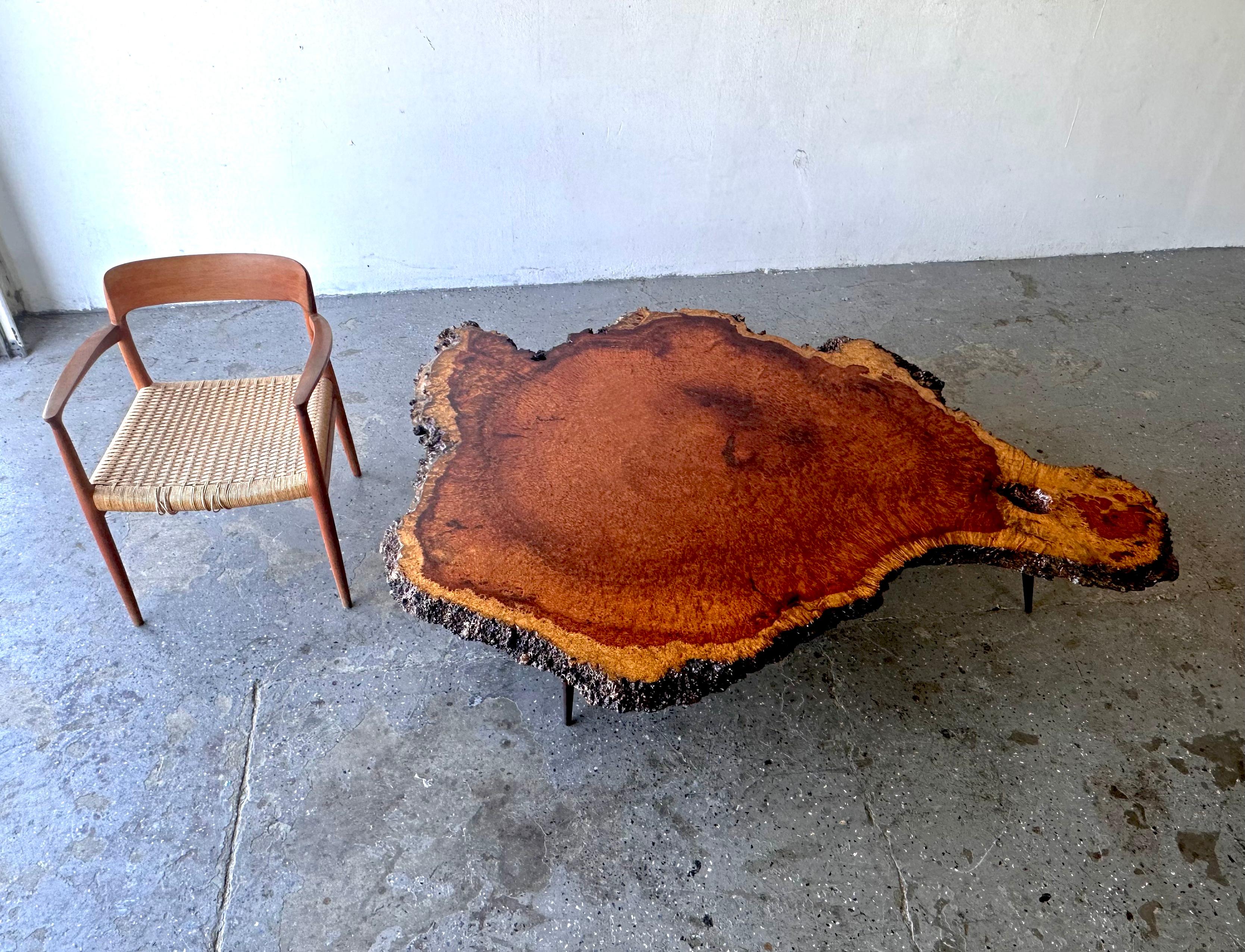 Inconnu Grande table basse en bois de ronce exotique du milieu du siècle, unique et vivante en vente