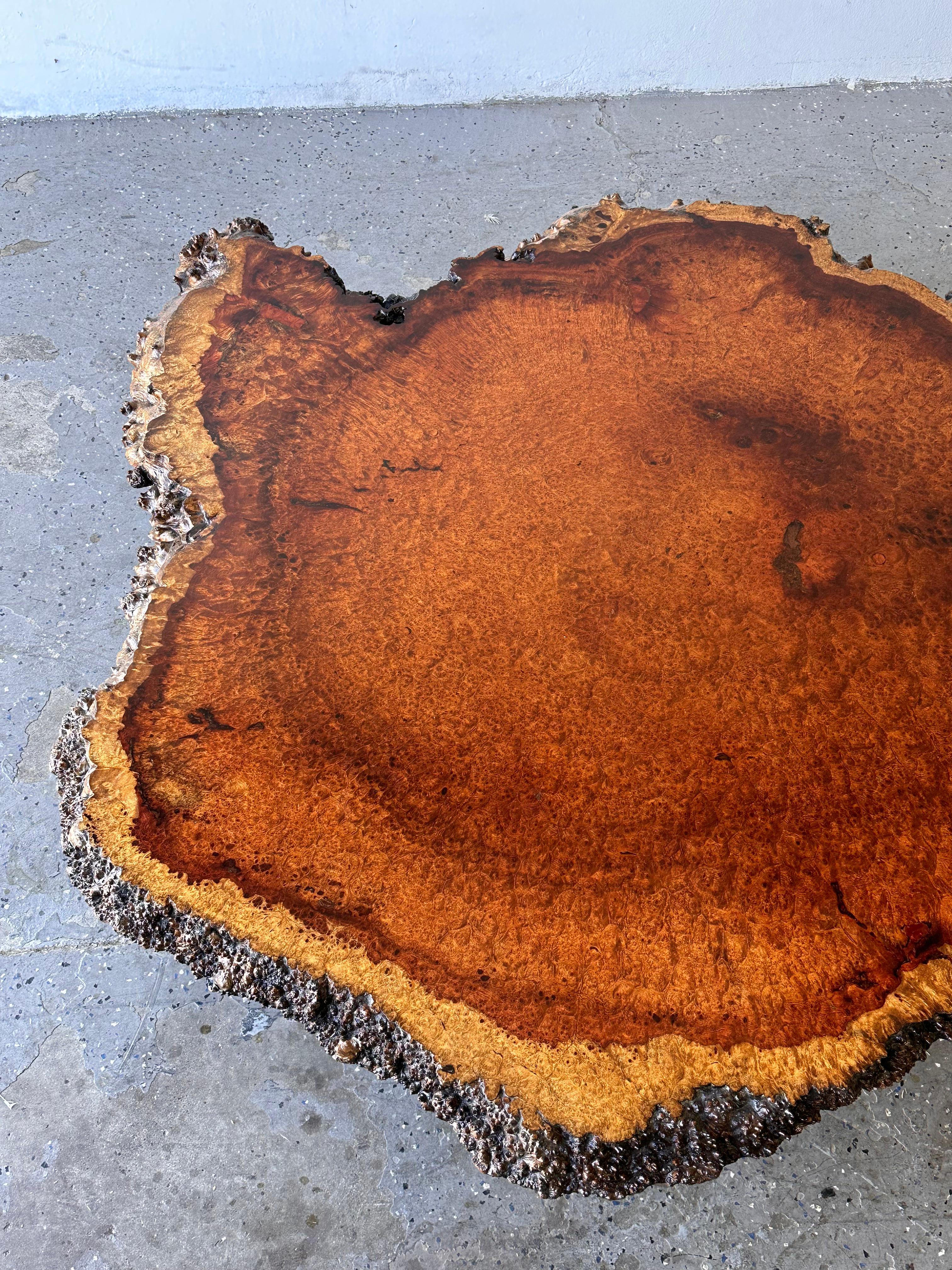 Unknown Large Mid Century Exotic Unique Live Edge Burl Wood Coffee Table For Sale