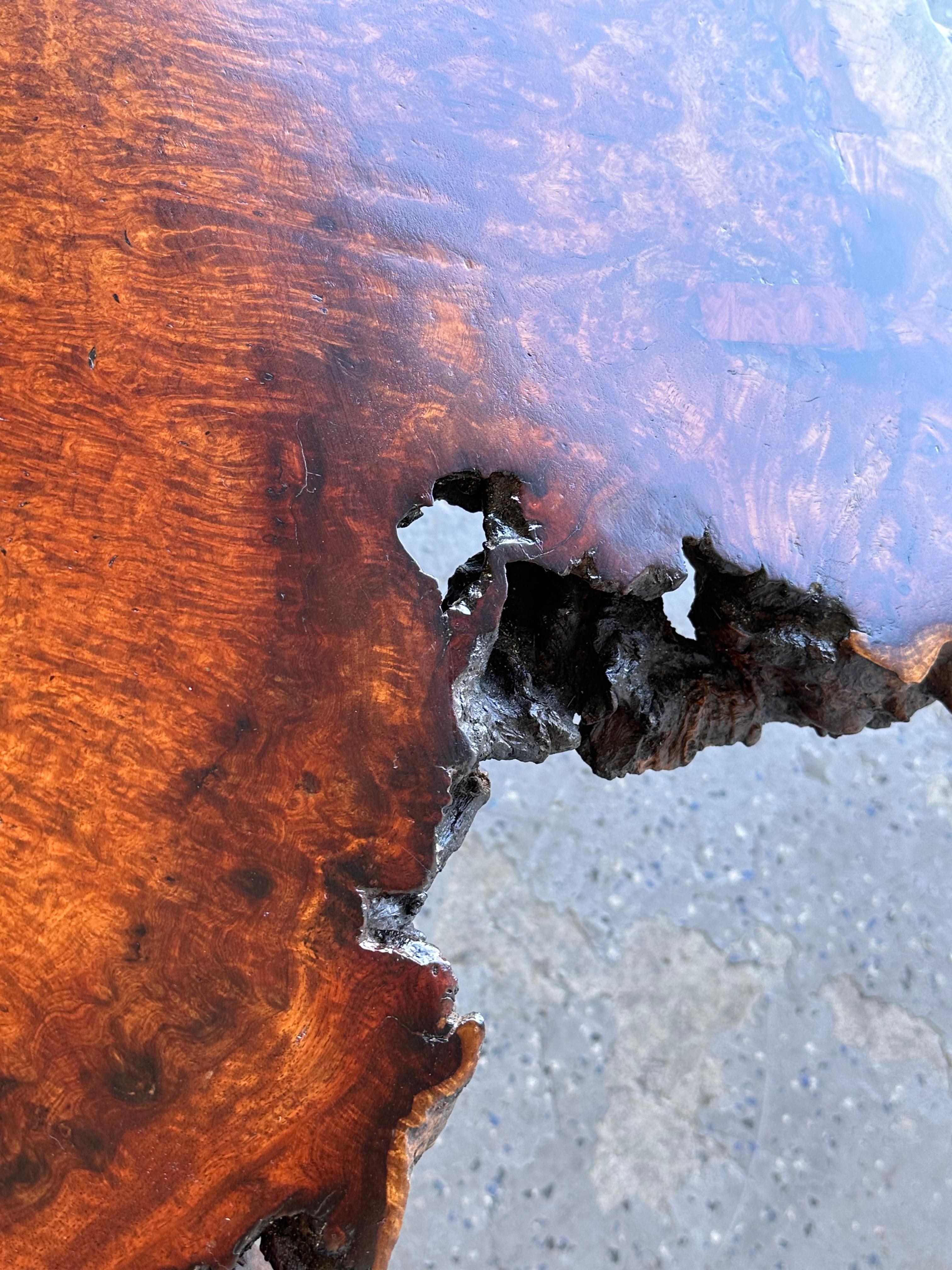 Large Mid Century Exotic Unique Live Edge Burl Wood Coffee Table For Sale 2