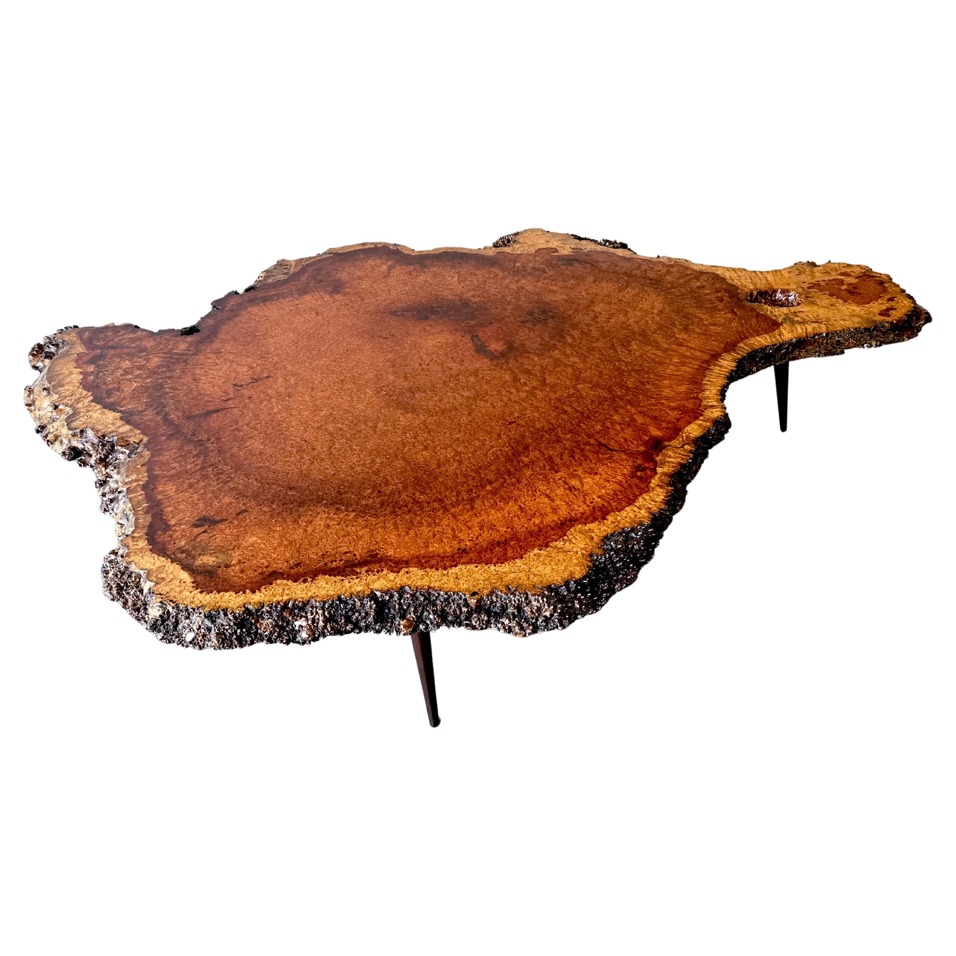 Large Mid Century Exotic Unique Live Edge Burl Wood Coffee Table For Sale