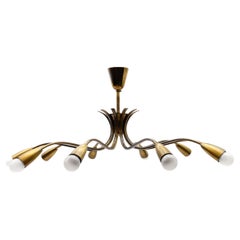 Large Mid-Century Modern 8-Arm Brass Spider Lamp, Germany, 1950s