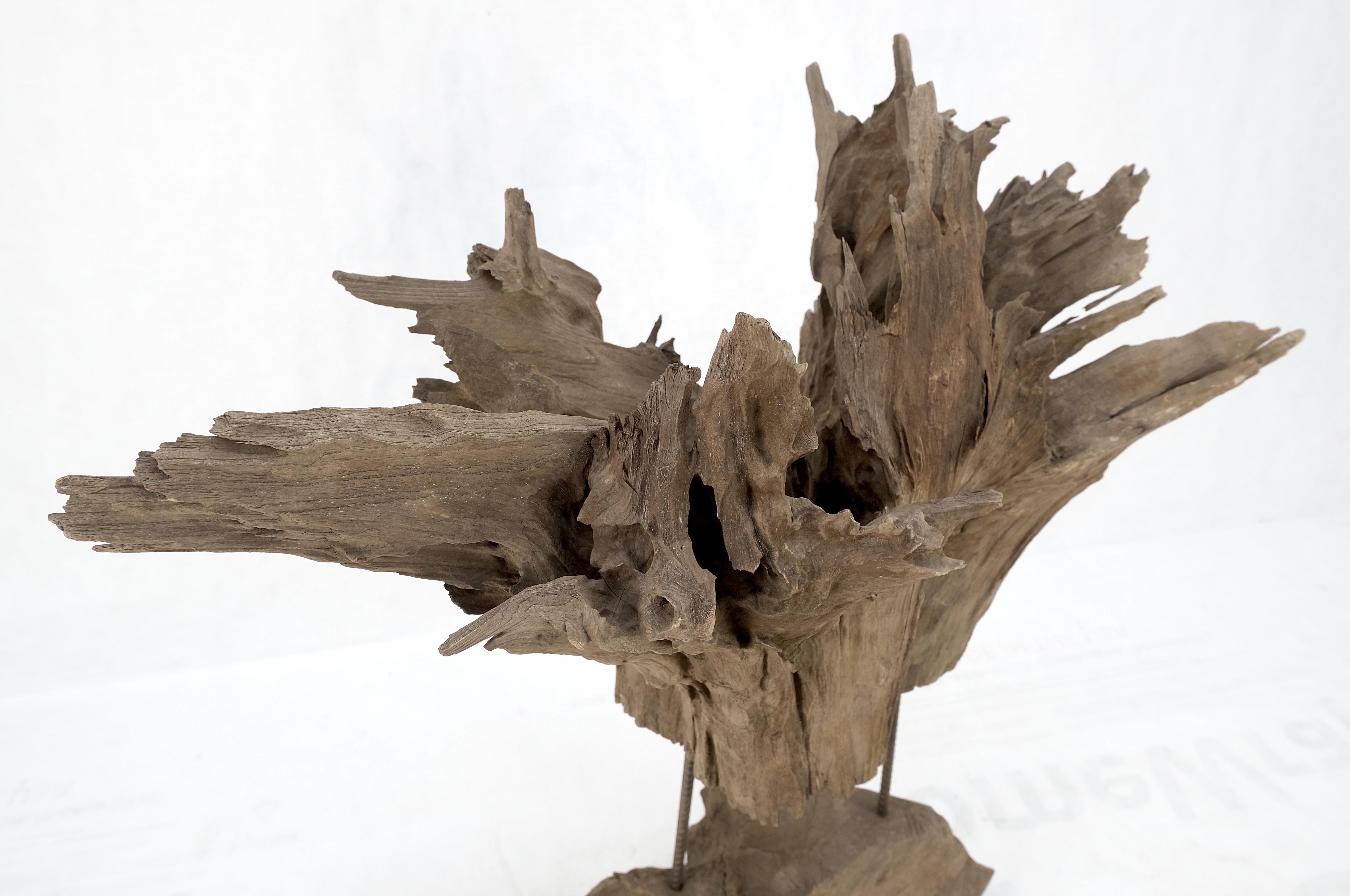 Large Mid-Century Modern Abstract Driftwood Floating Suspended Sculpture For Sale 3