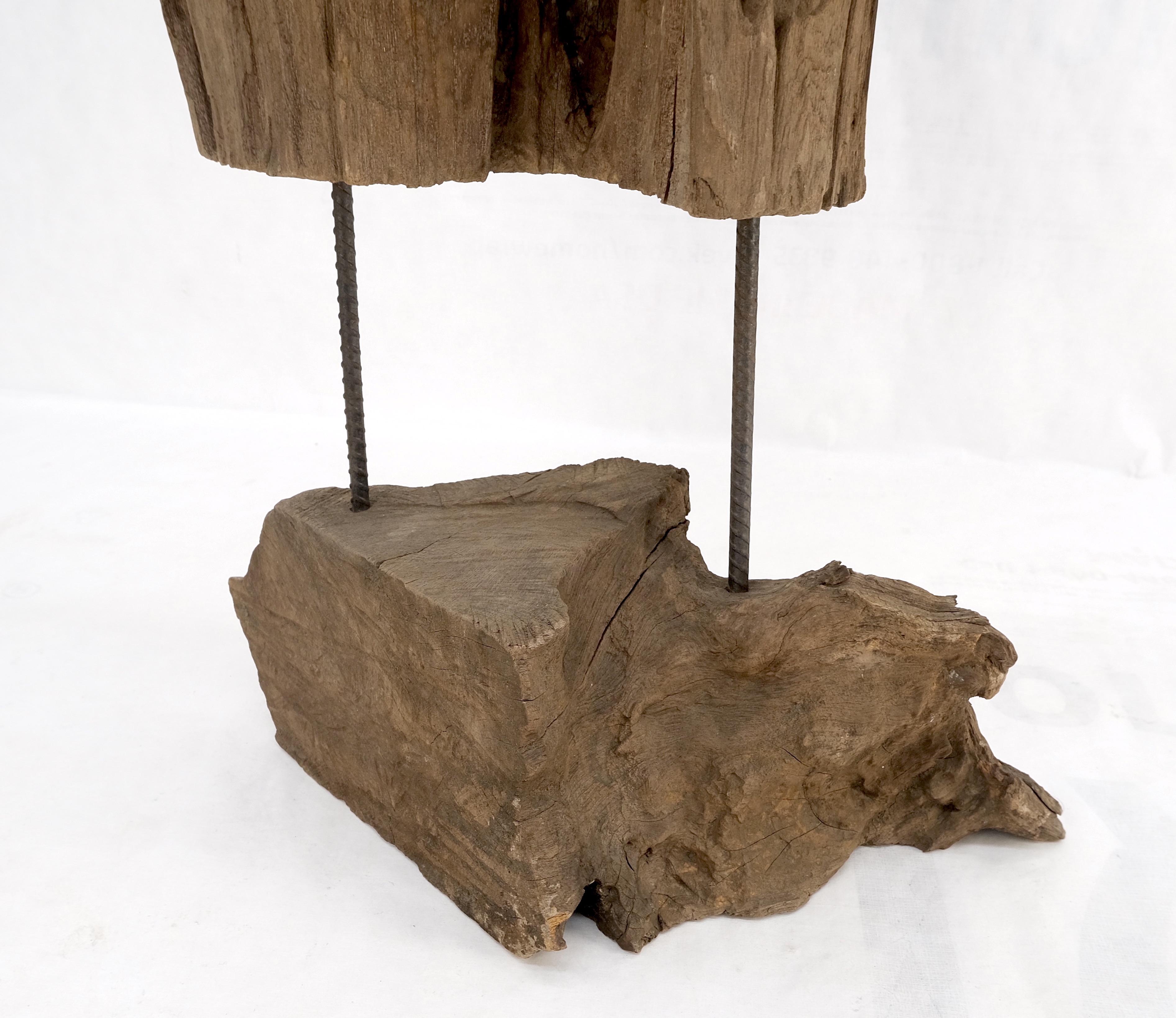 Large Mid-Century Modern Abstract Driftwood Floating Suspended Sculpture For Sale 5